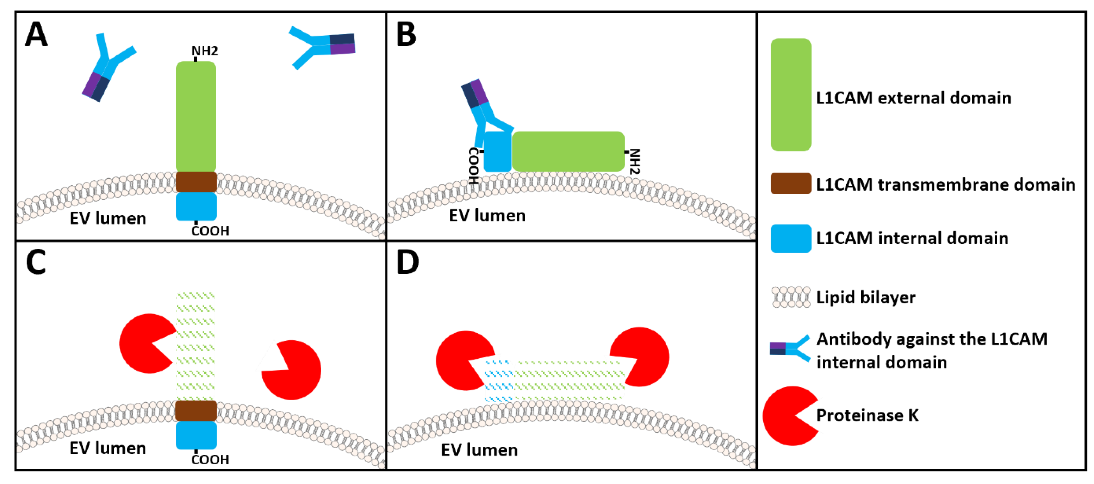 Preprints 190808 g002