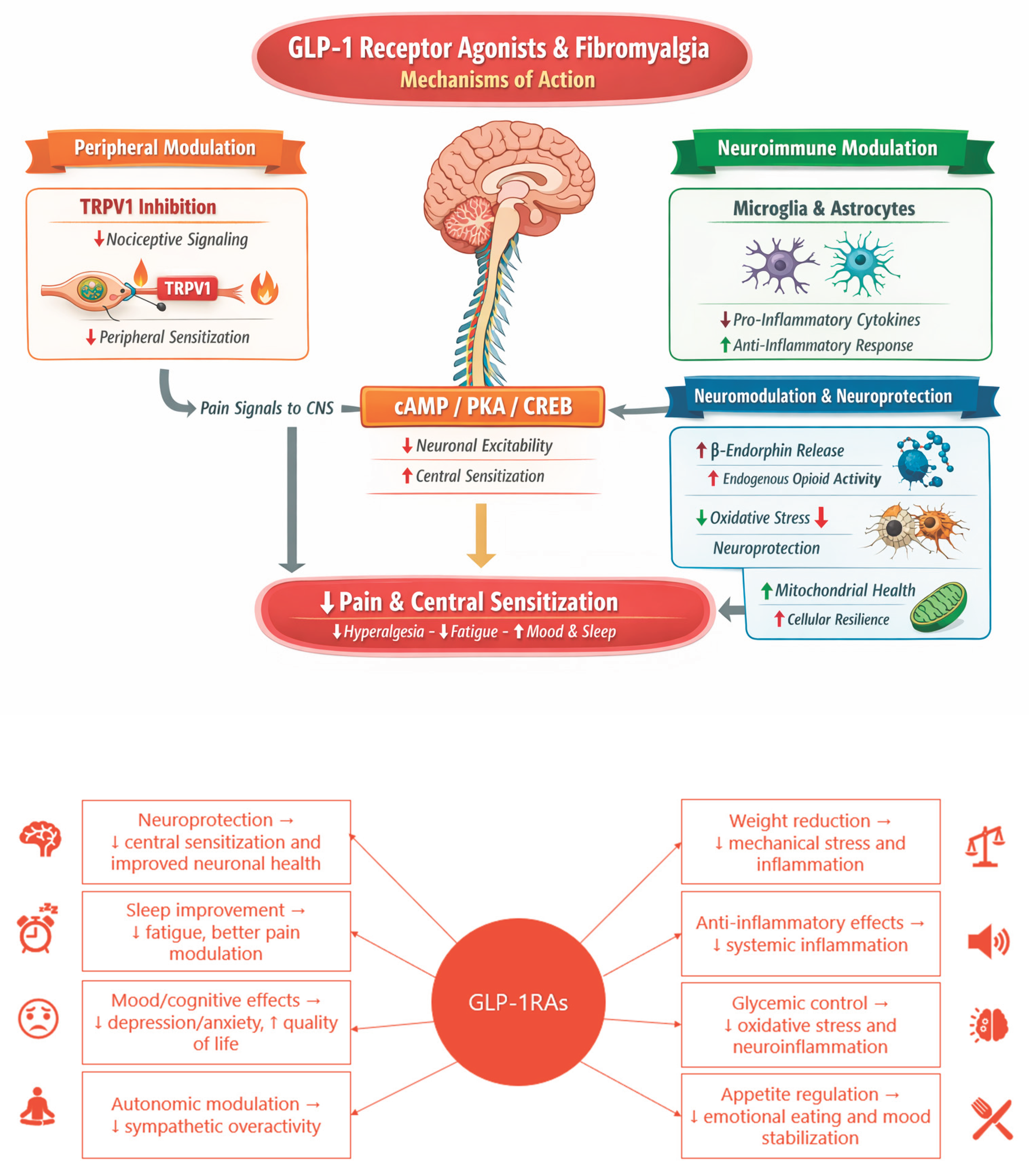 allodynia glp 1 The Potential Indirect Impact of GLP-1 Receptor Agonists in the Management  of Fibromyalgia[v1]