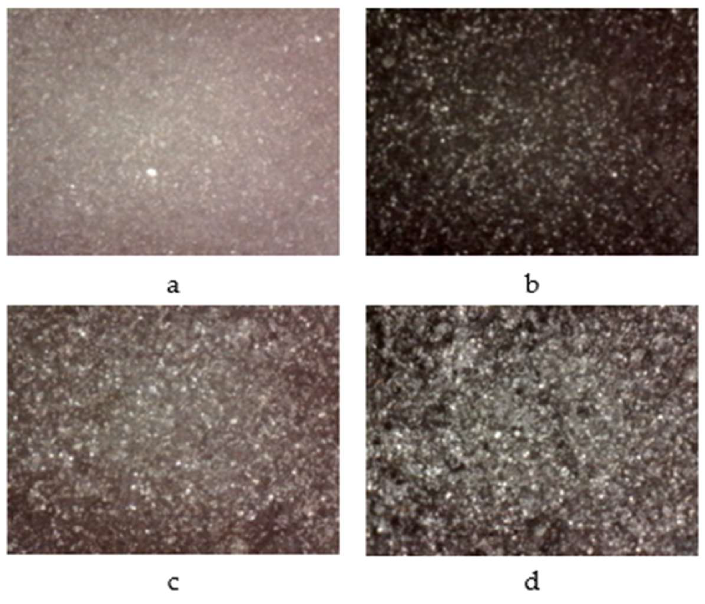 Preprints 210185 g001