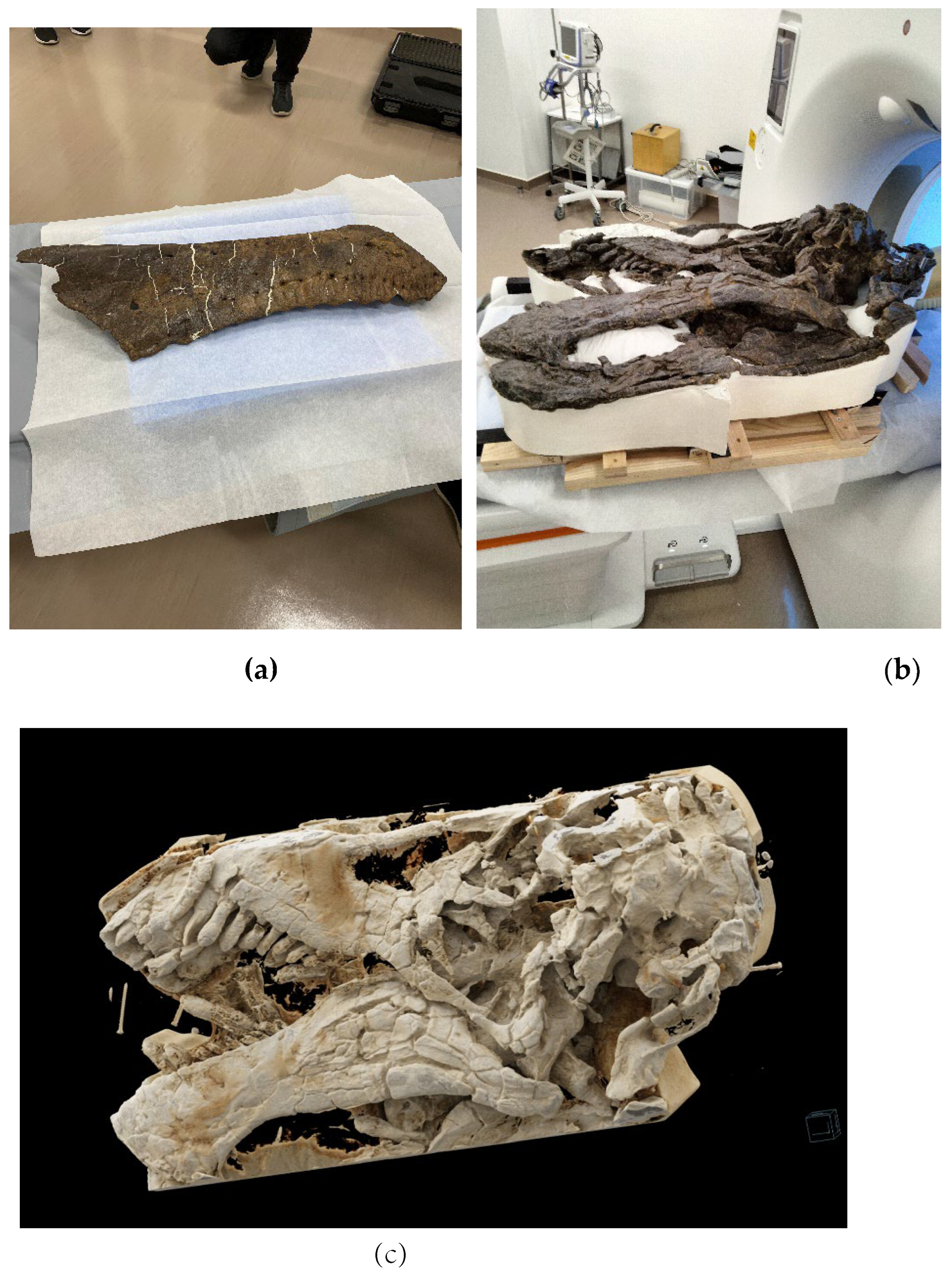 Preprints 156928 g001