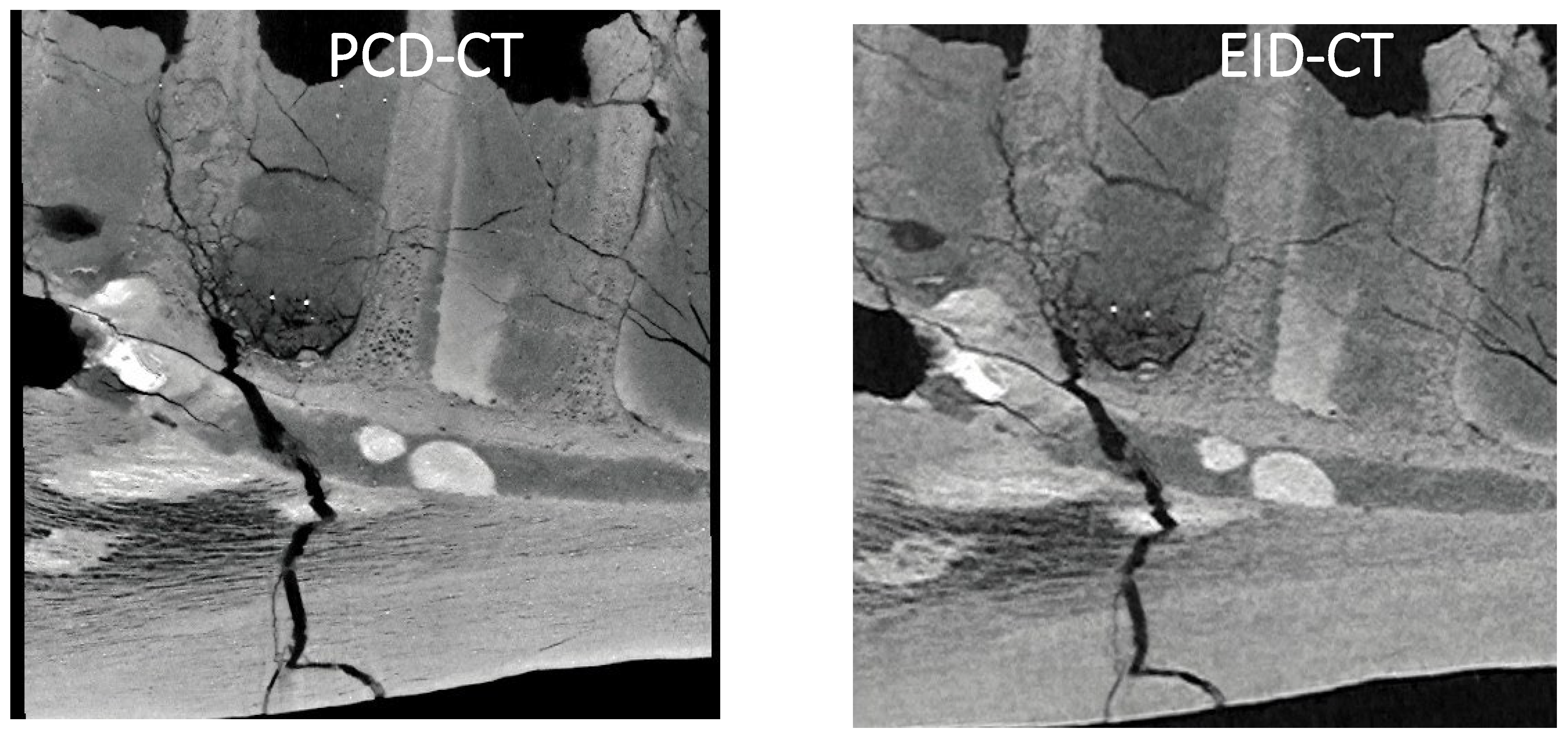 Preprints 156928 g002