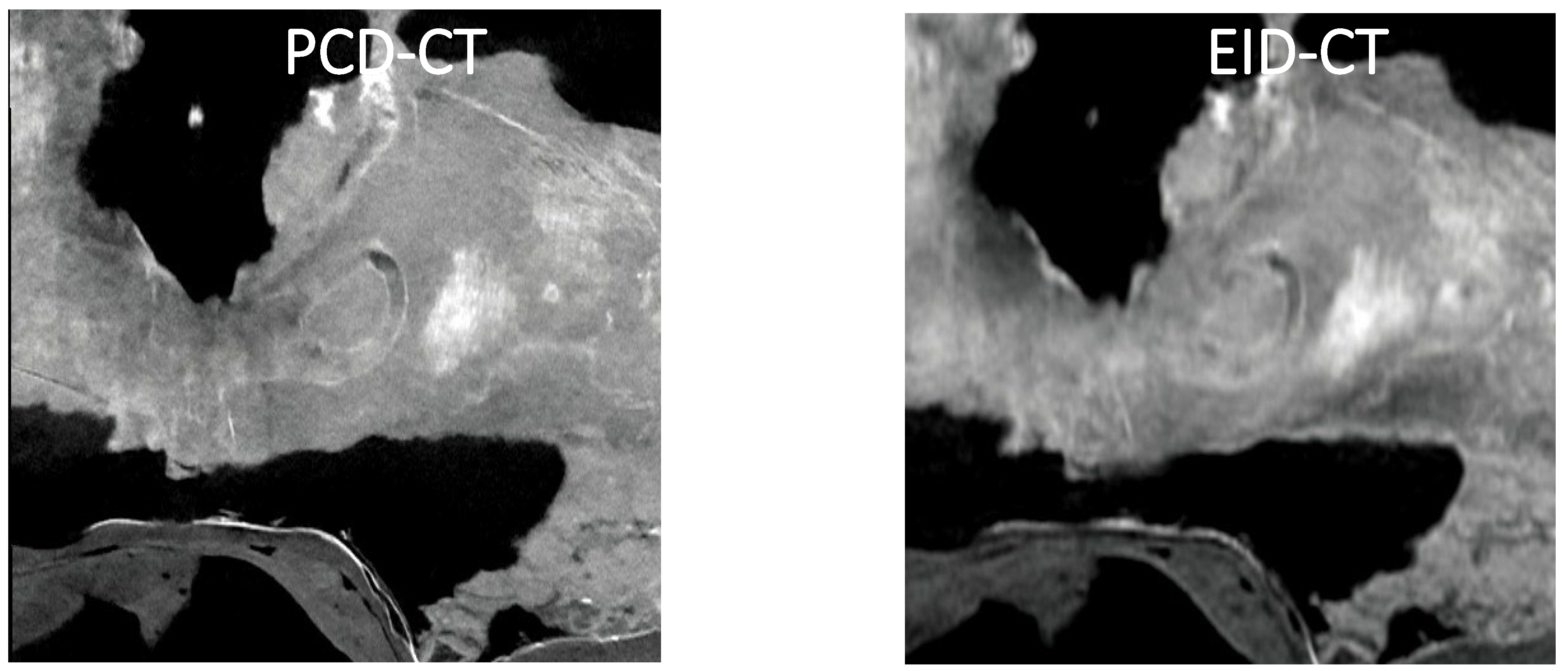 Preprints 156928 g003