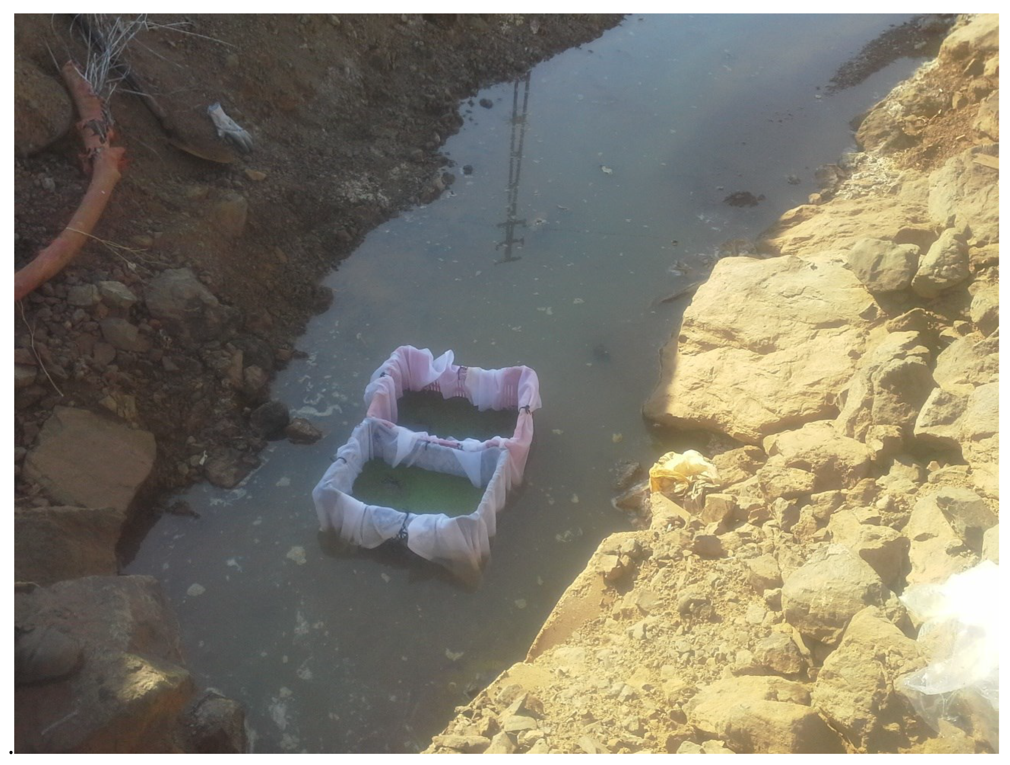 Preprints 99498 g002