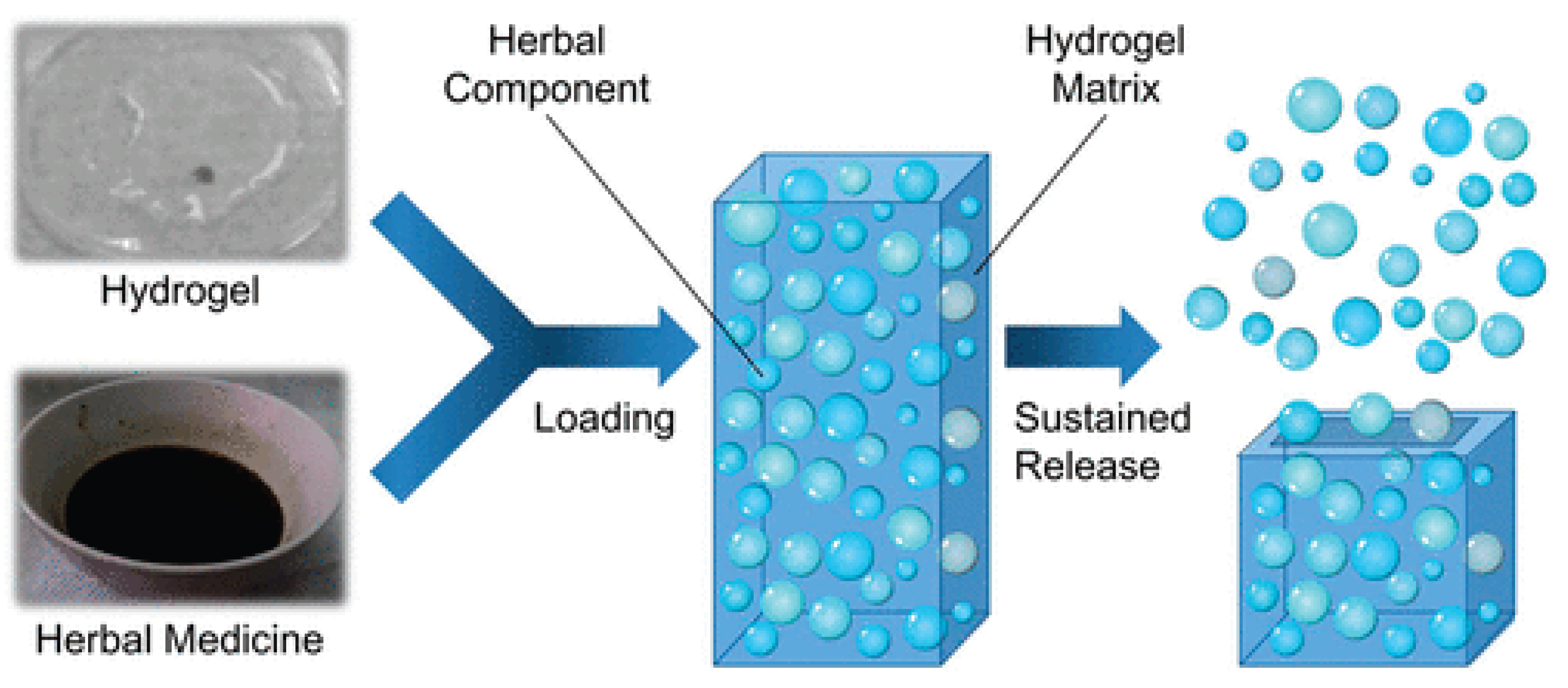 Preprints 188860 g005