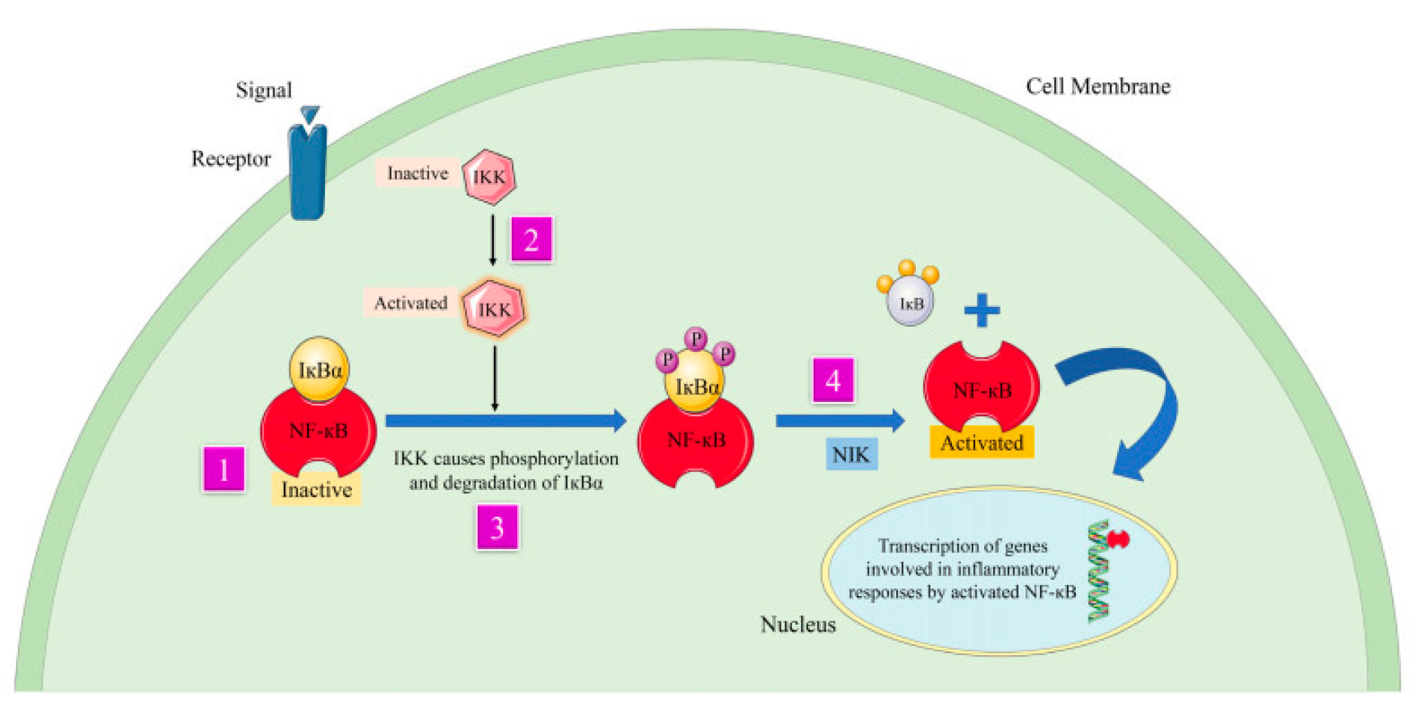 Preprints 188860 g006
