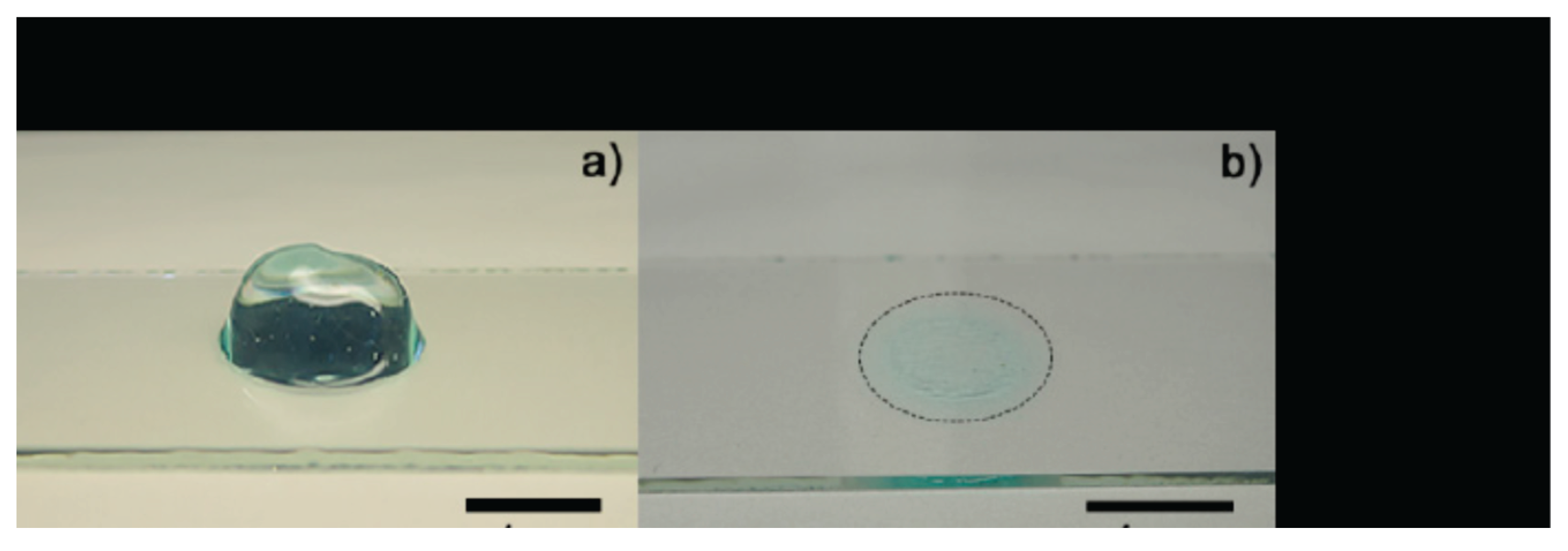 Preprints 188860 g010
