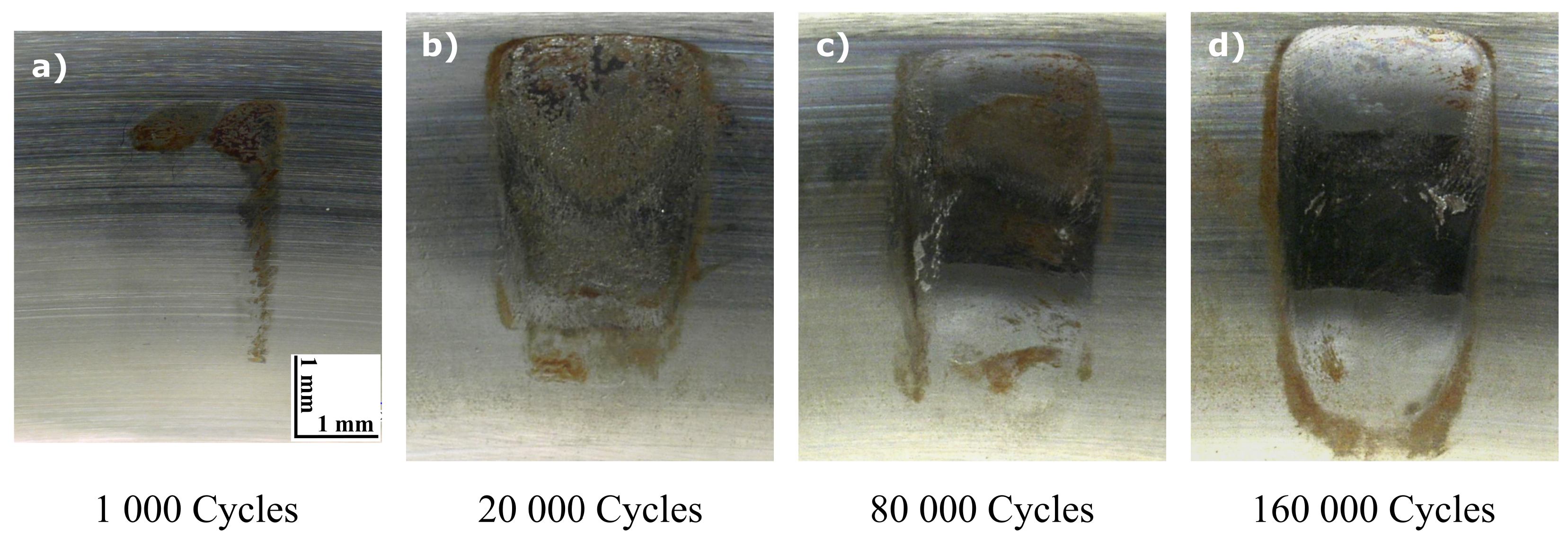 Preprints 67831 g005