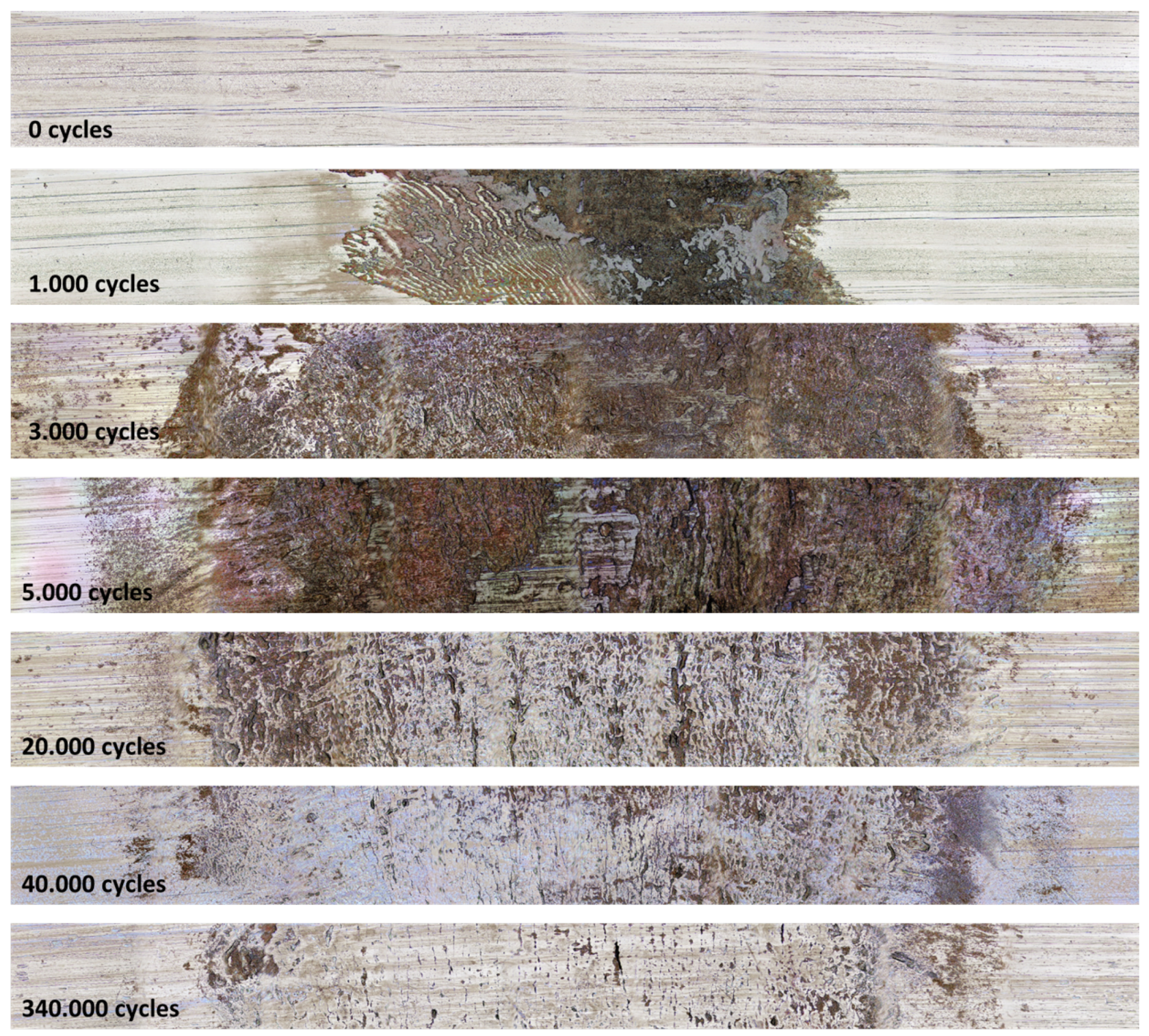 Preprints 67831 g011