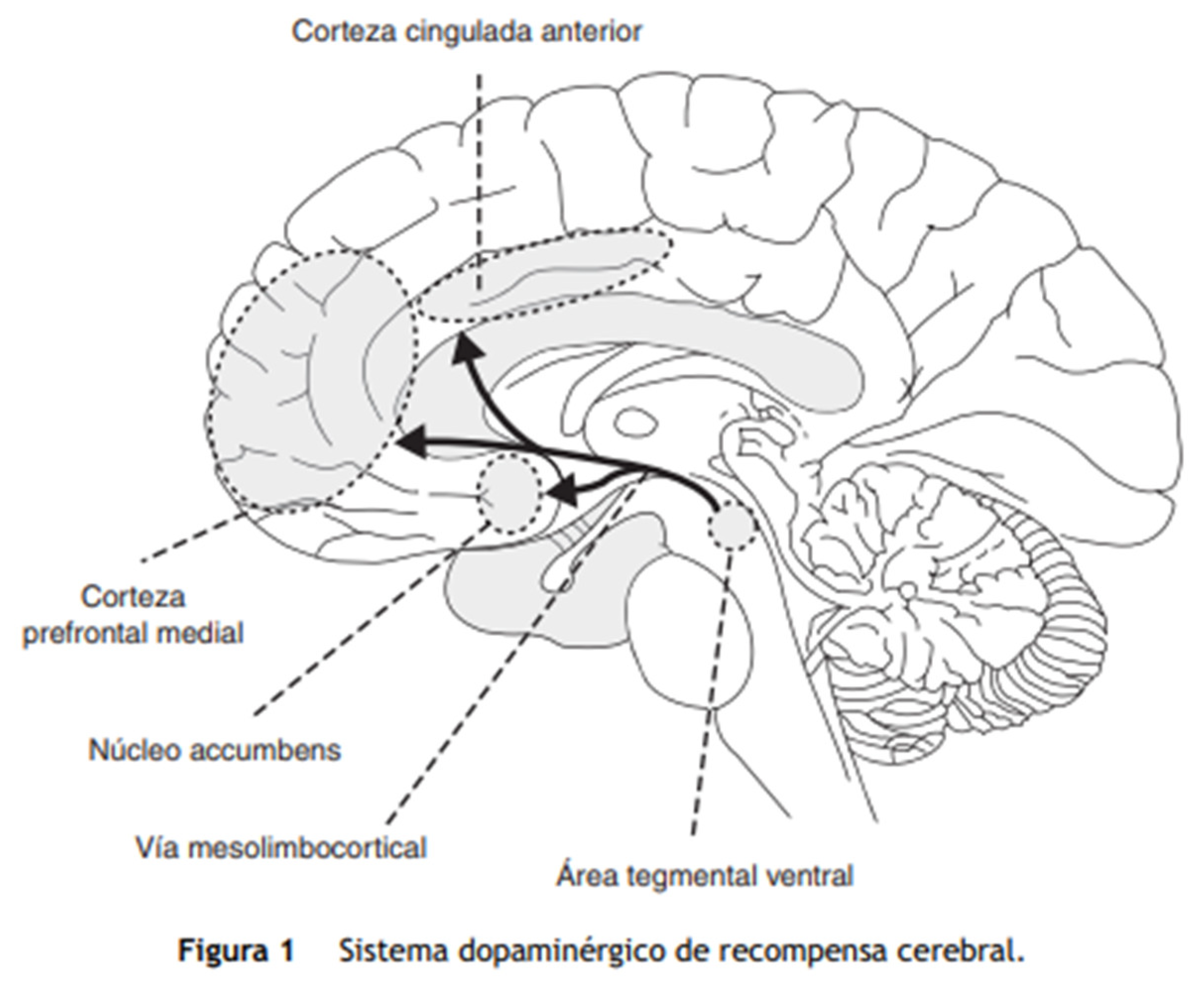 Preprints 186172 g059