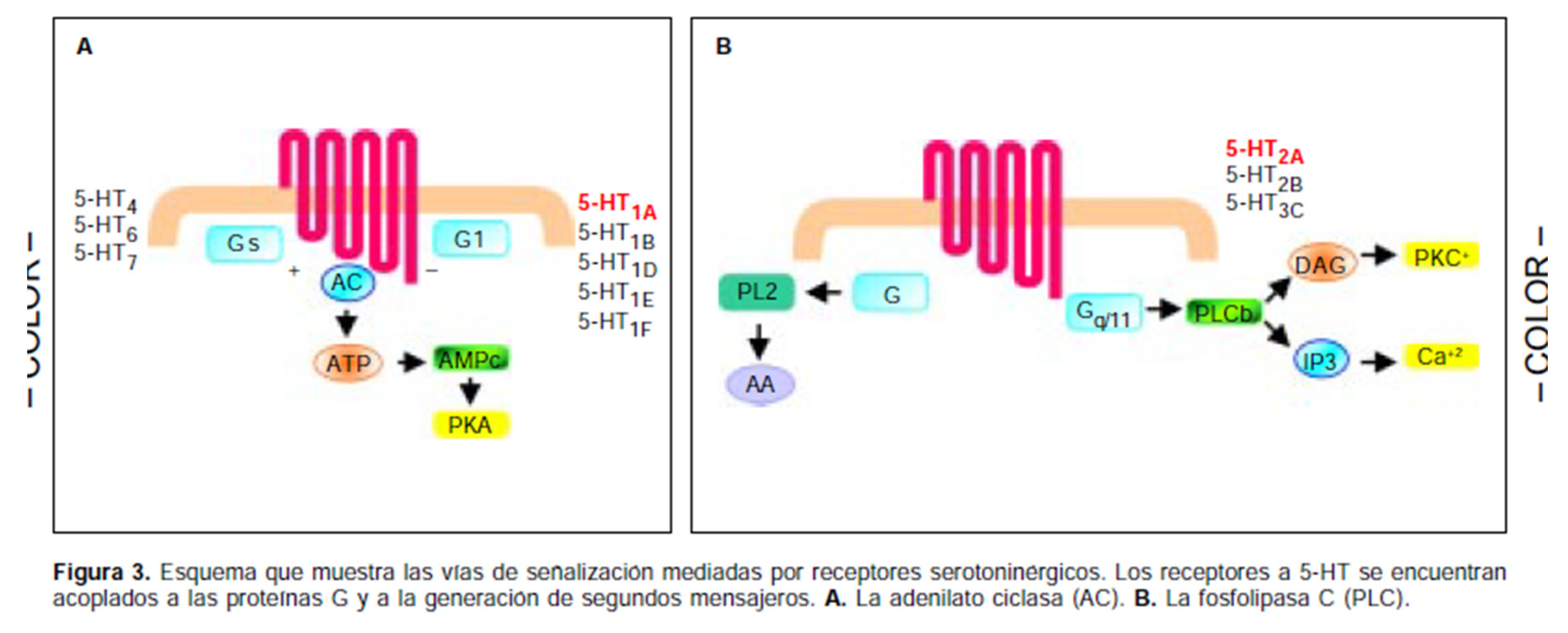 Preprints 186172 g060