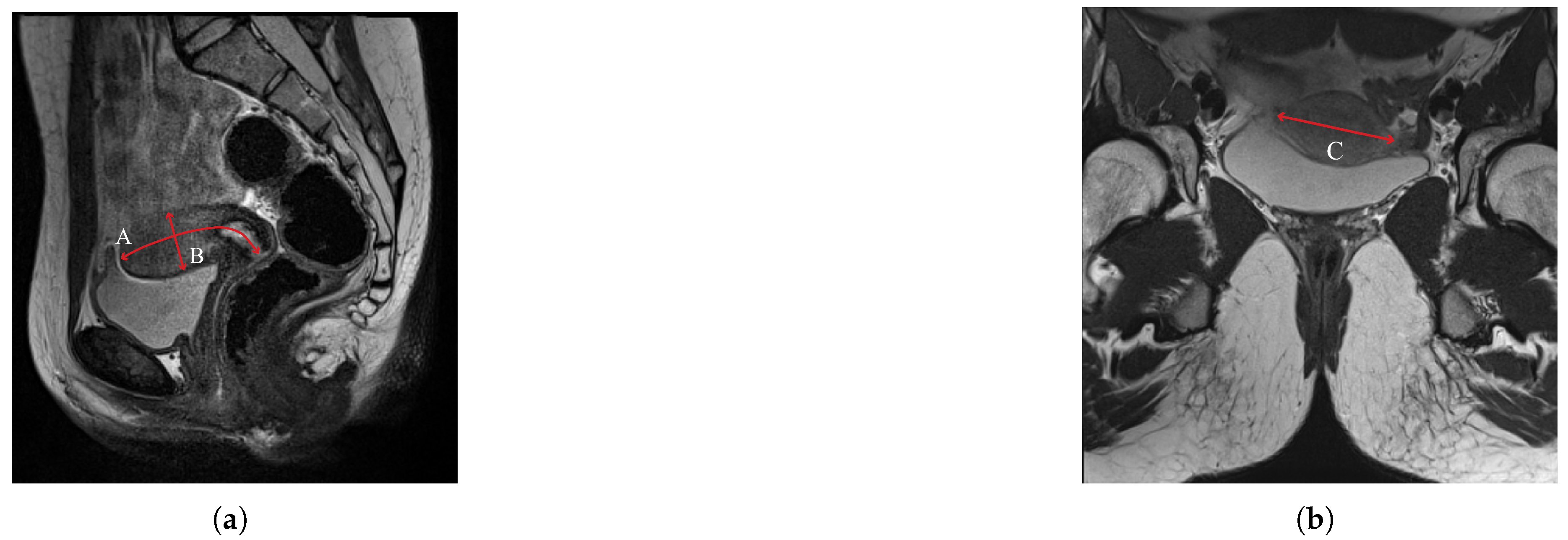 Preprints 238319 g002