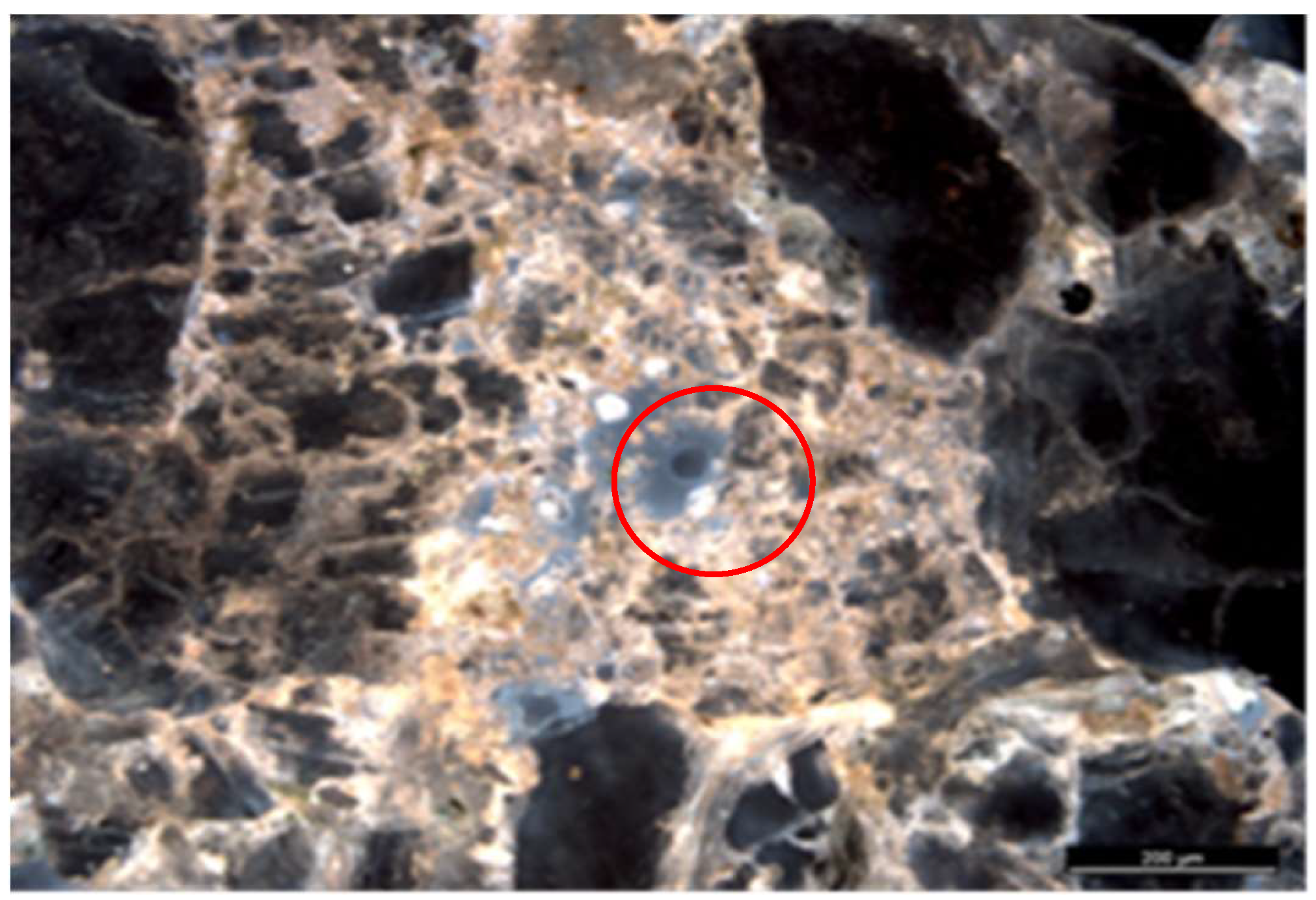 Preprints 140612 g001