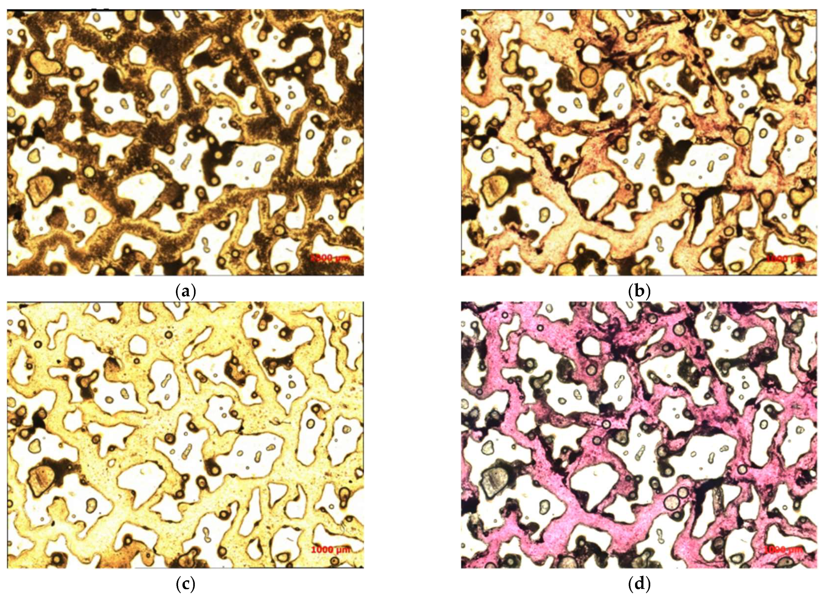 Preprints 140612 g008