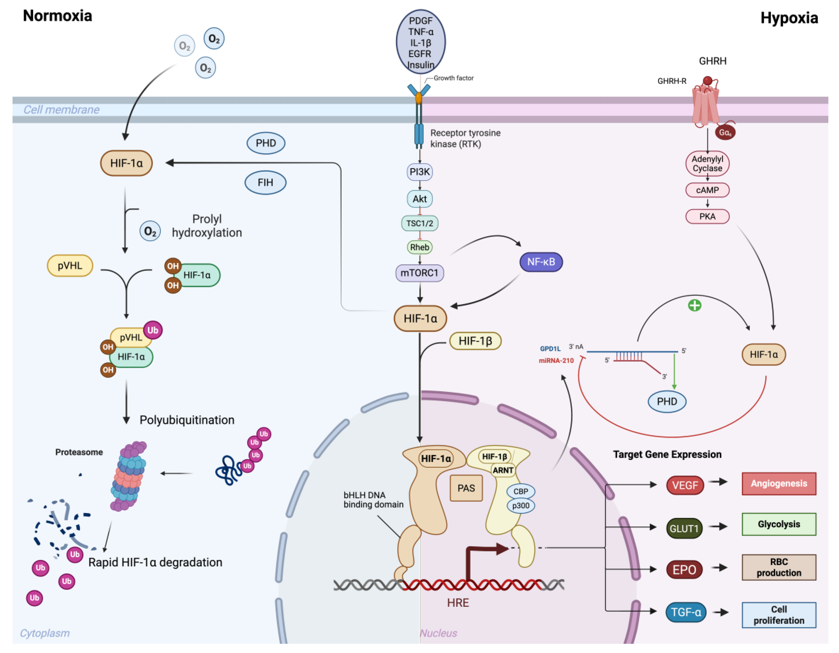 Preprints 180033 g001