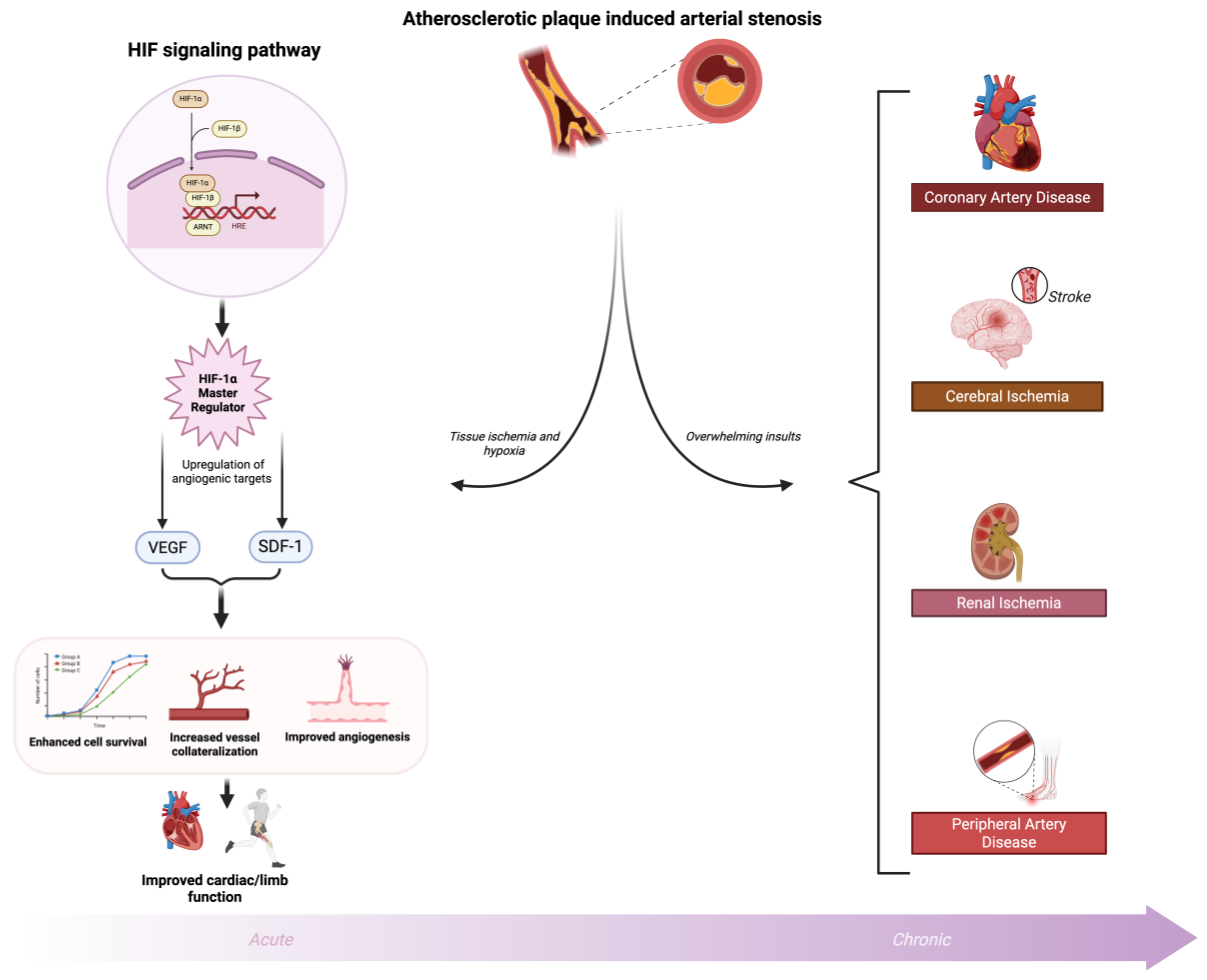 Preprints 180033 g002