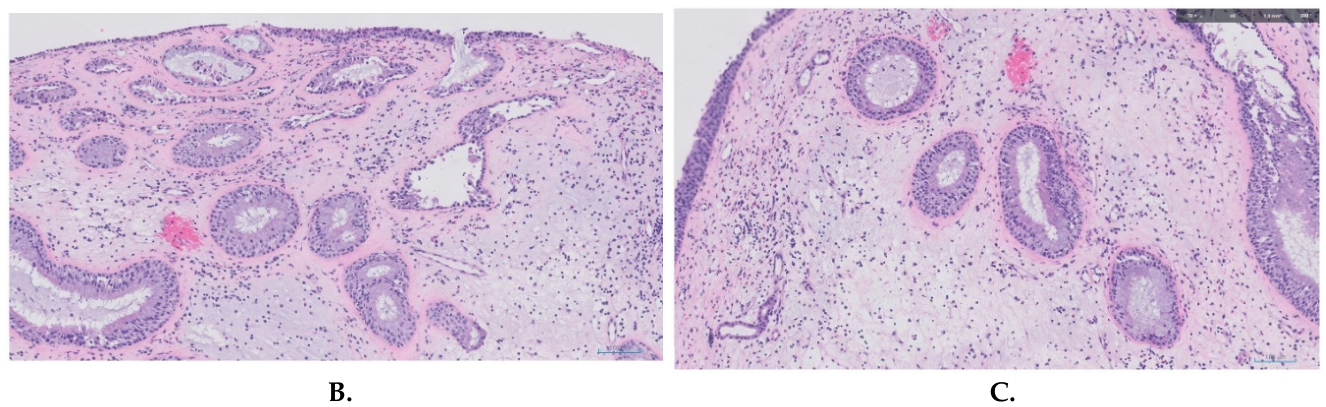 Preprints 223568 g002b