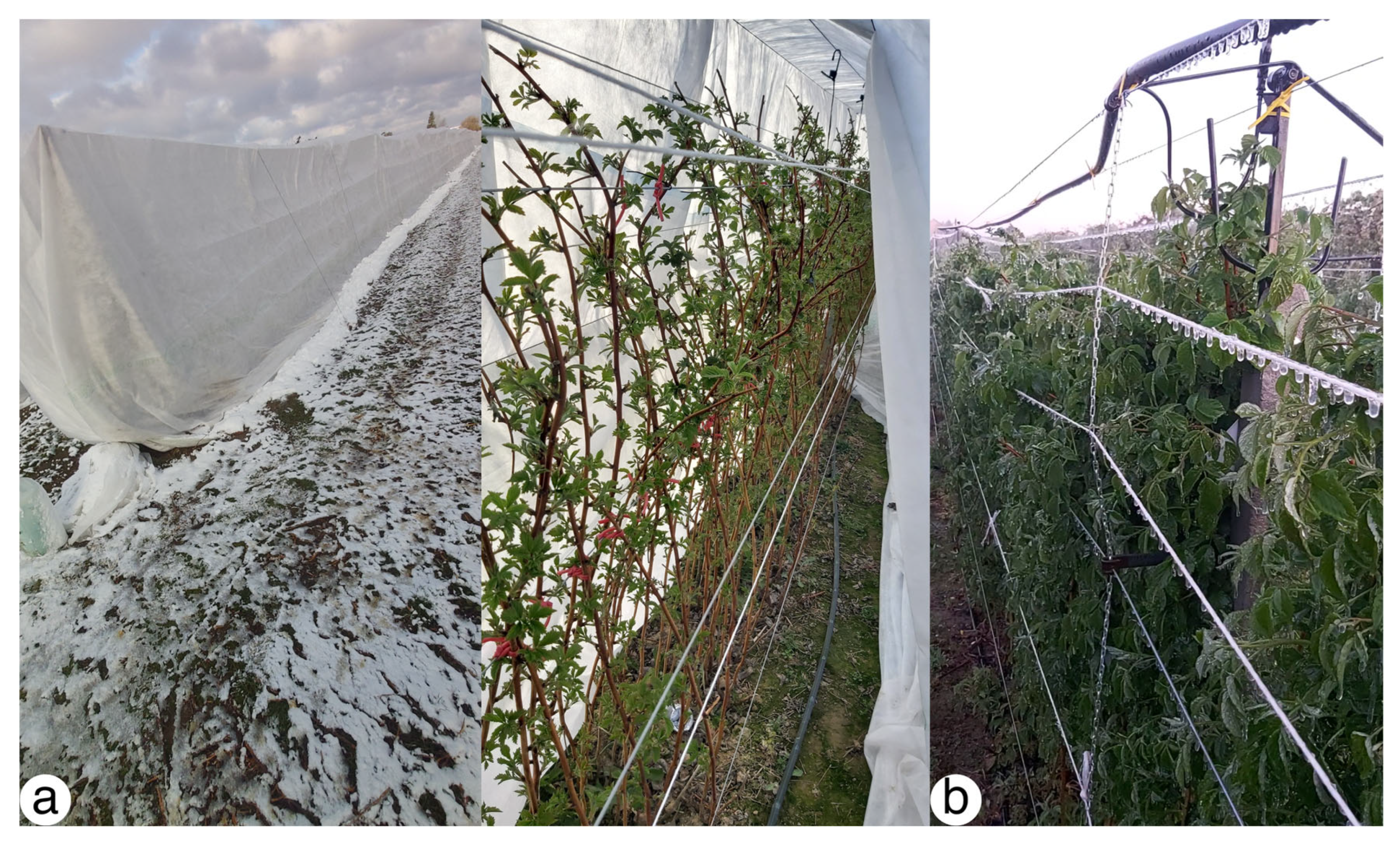 Preprints 208300 g002