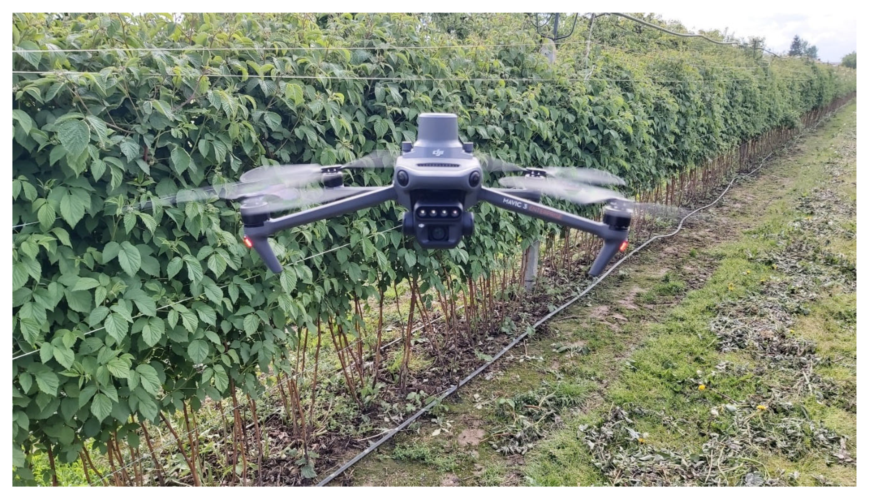 Preprints 208300 g004