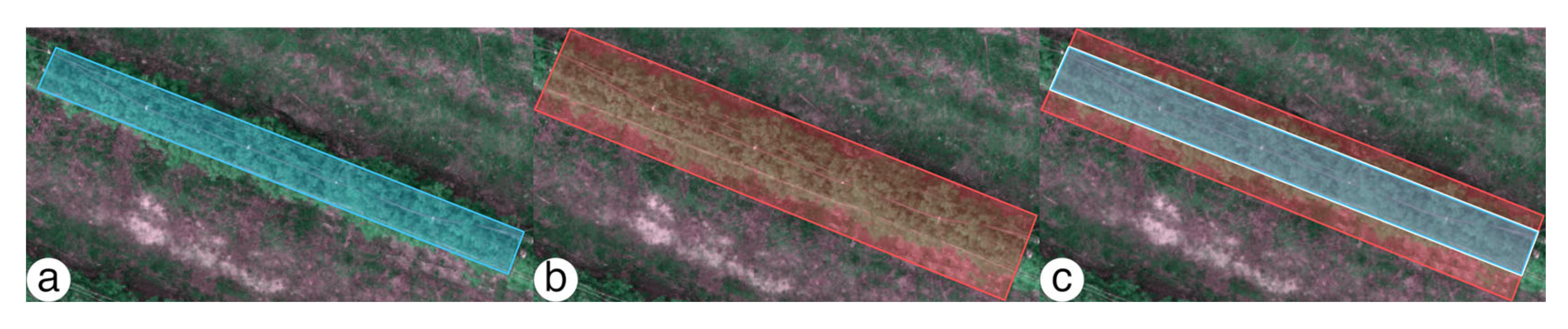 Preprints 208300 g006