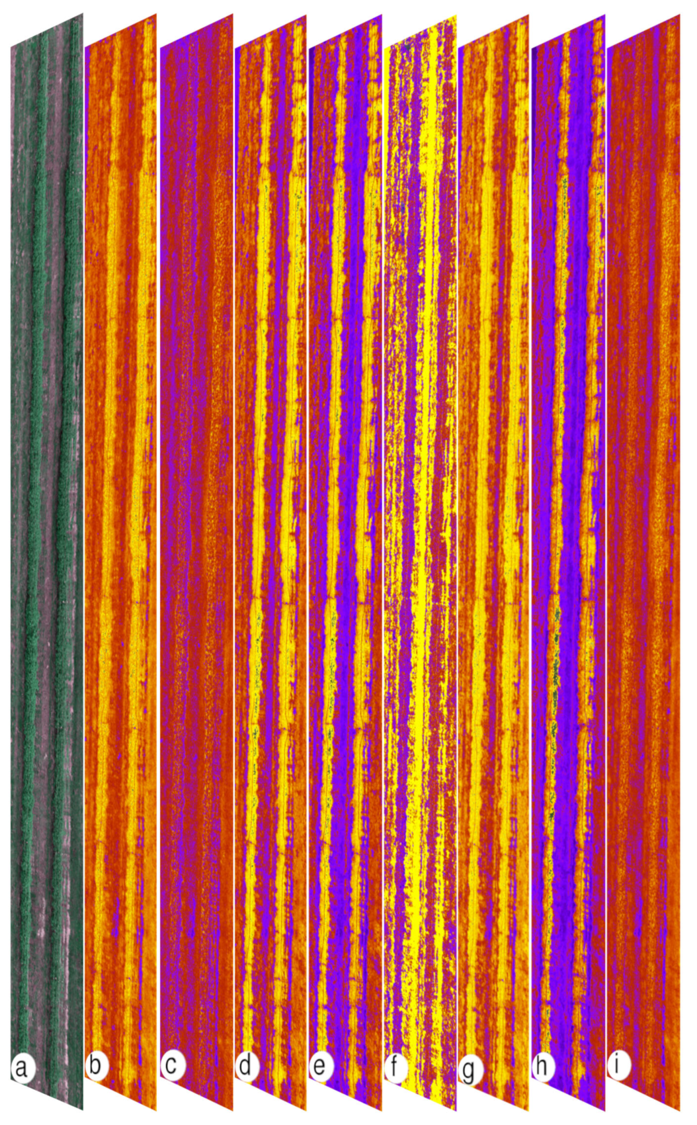 Preprints 208300 g007