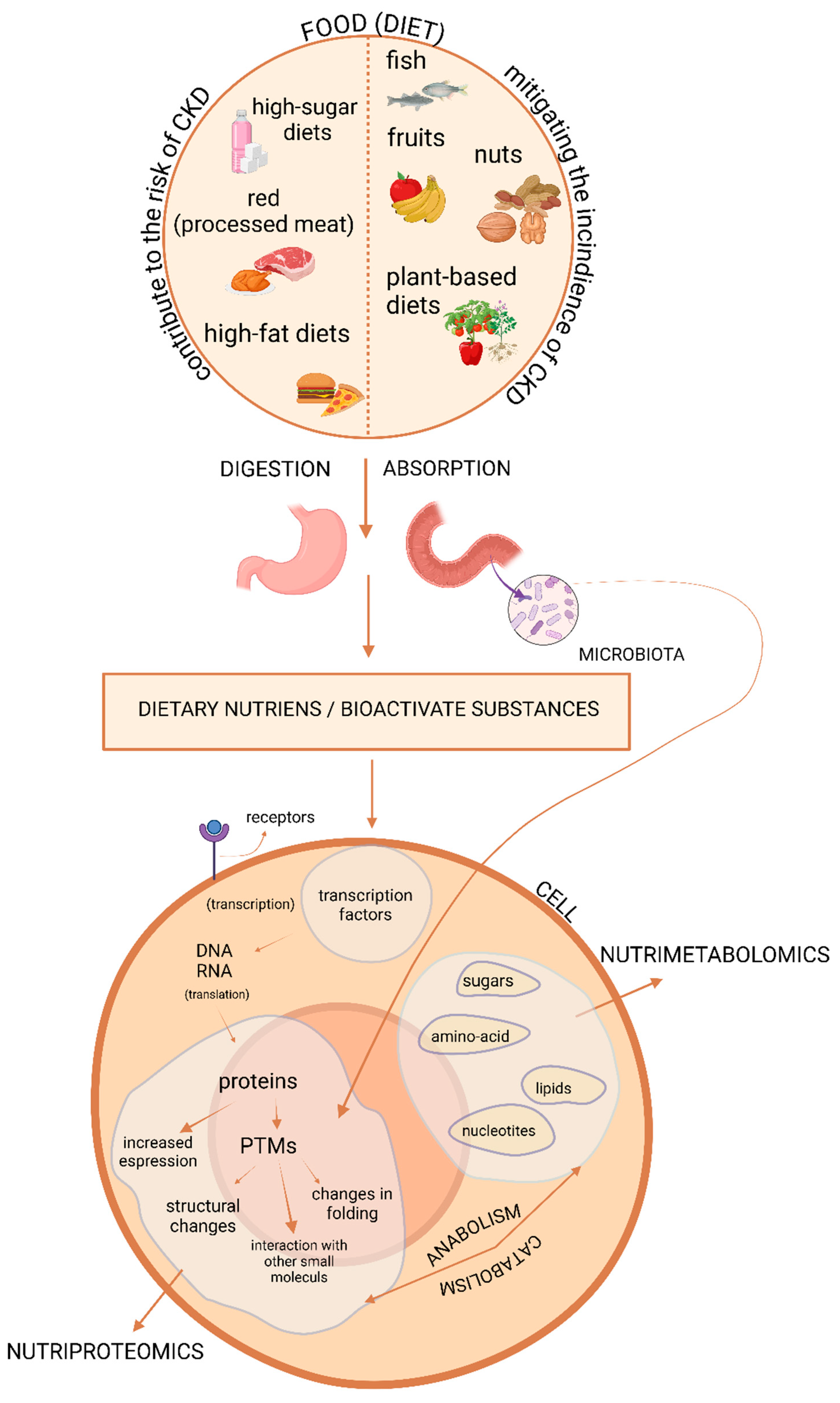 Preprints 151110 g001