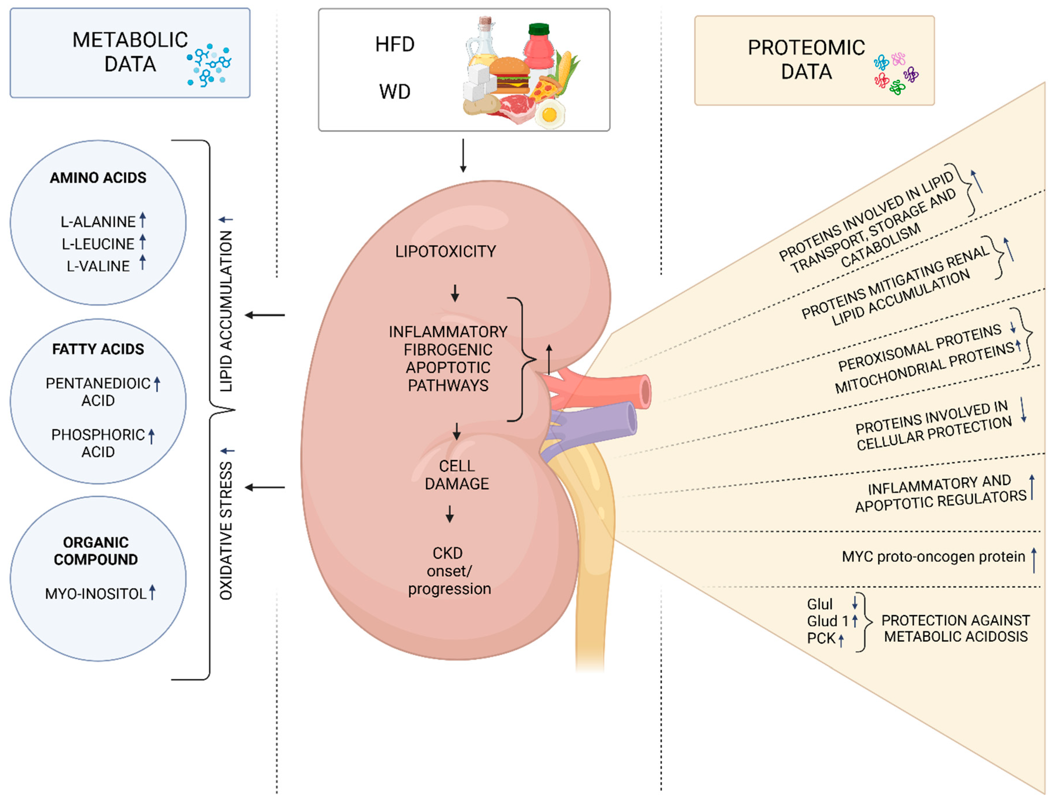 Preprints 151110 g002