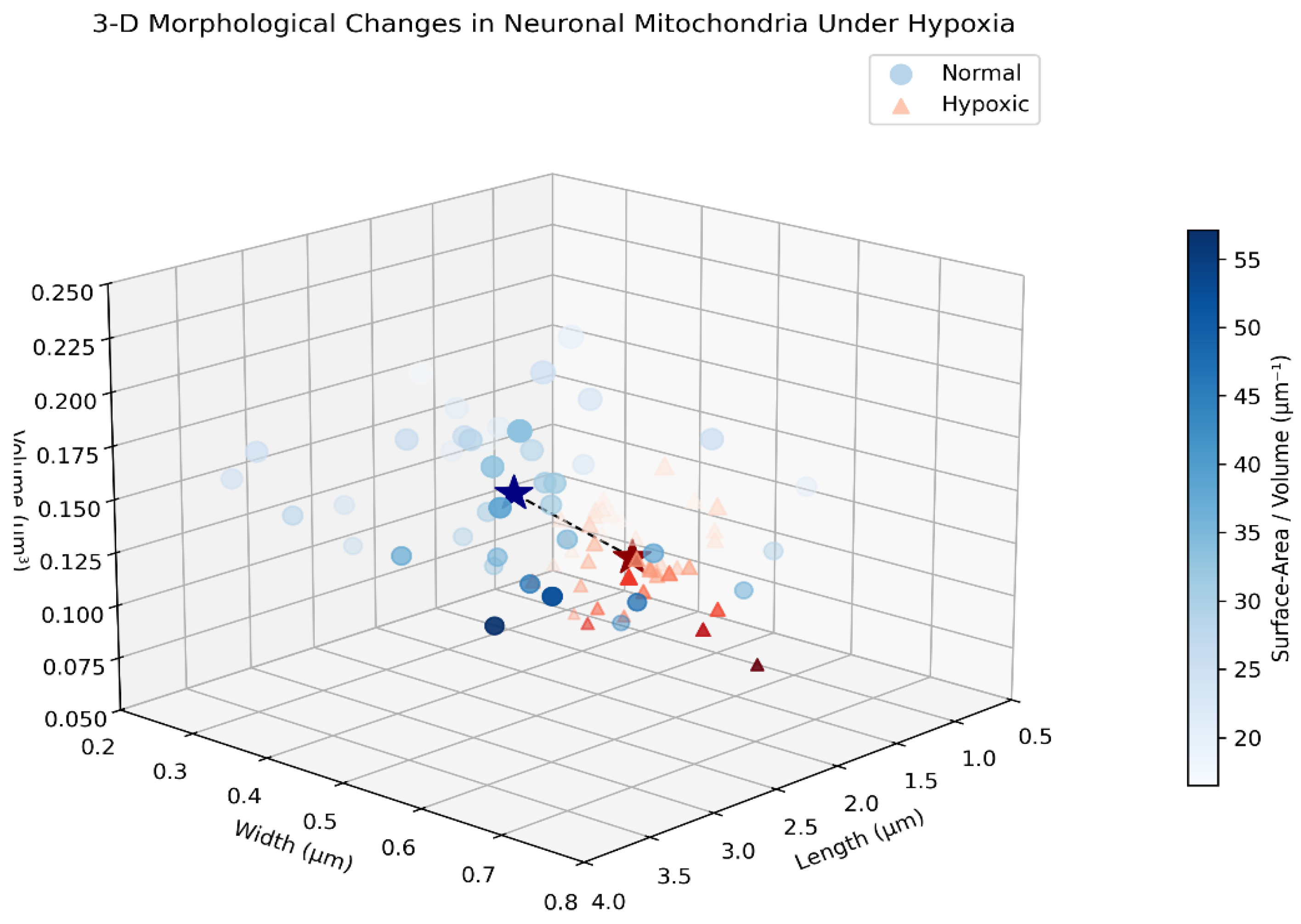 Preprints 158310 g002