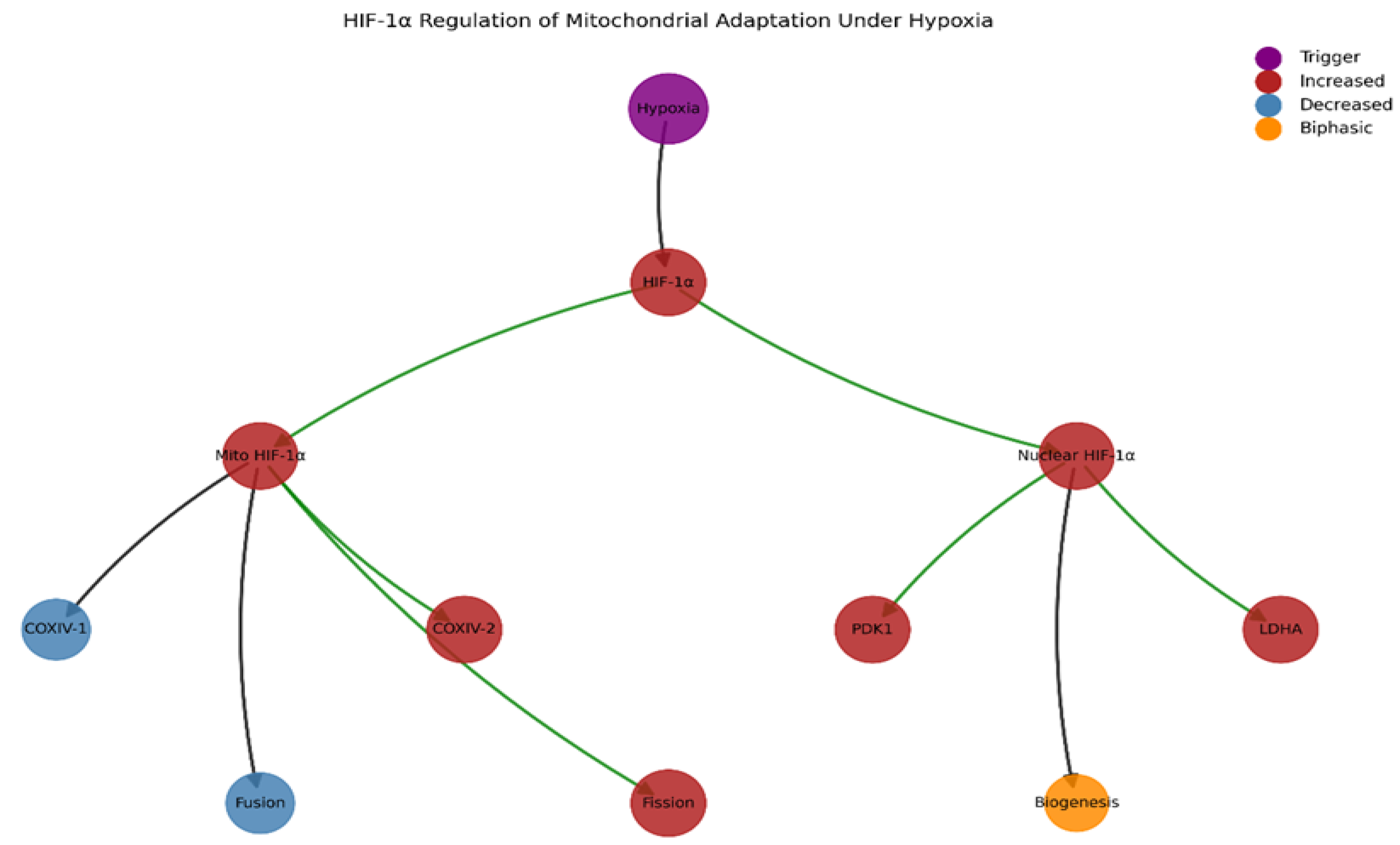 Preprints 158310 g004