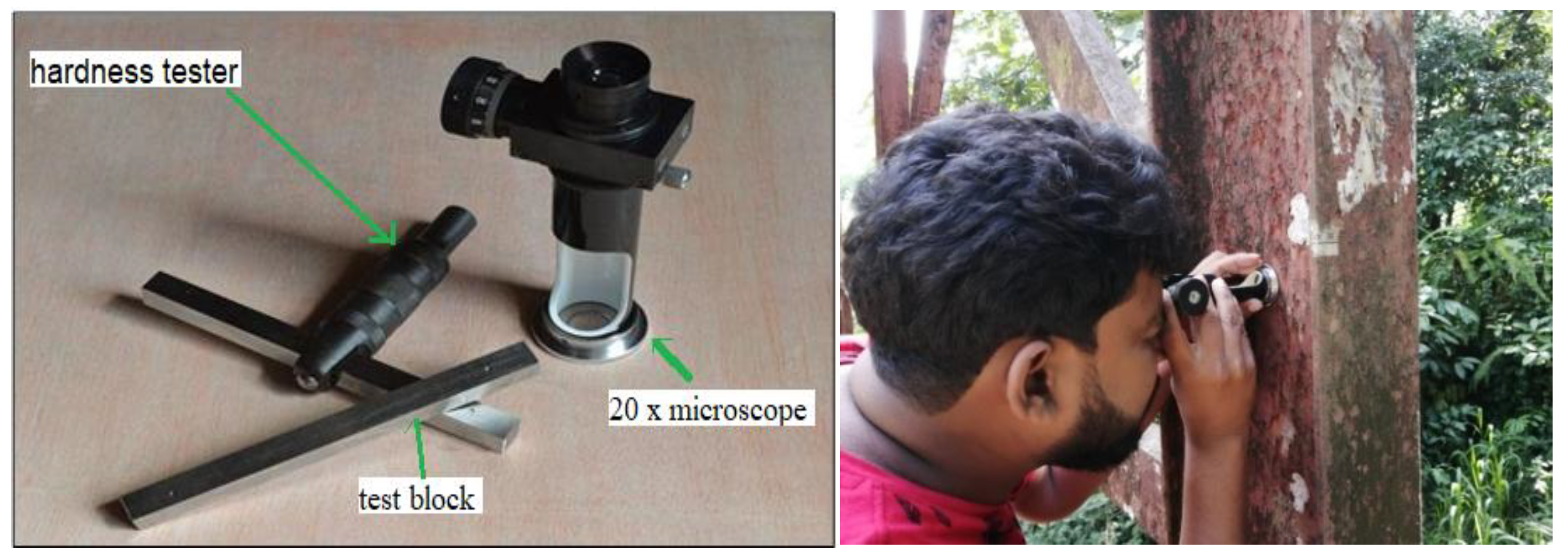 Preprints 162987 g001