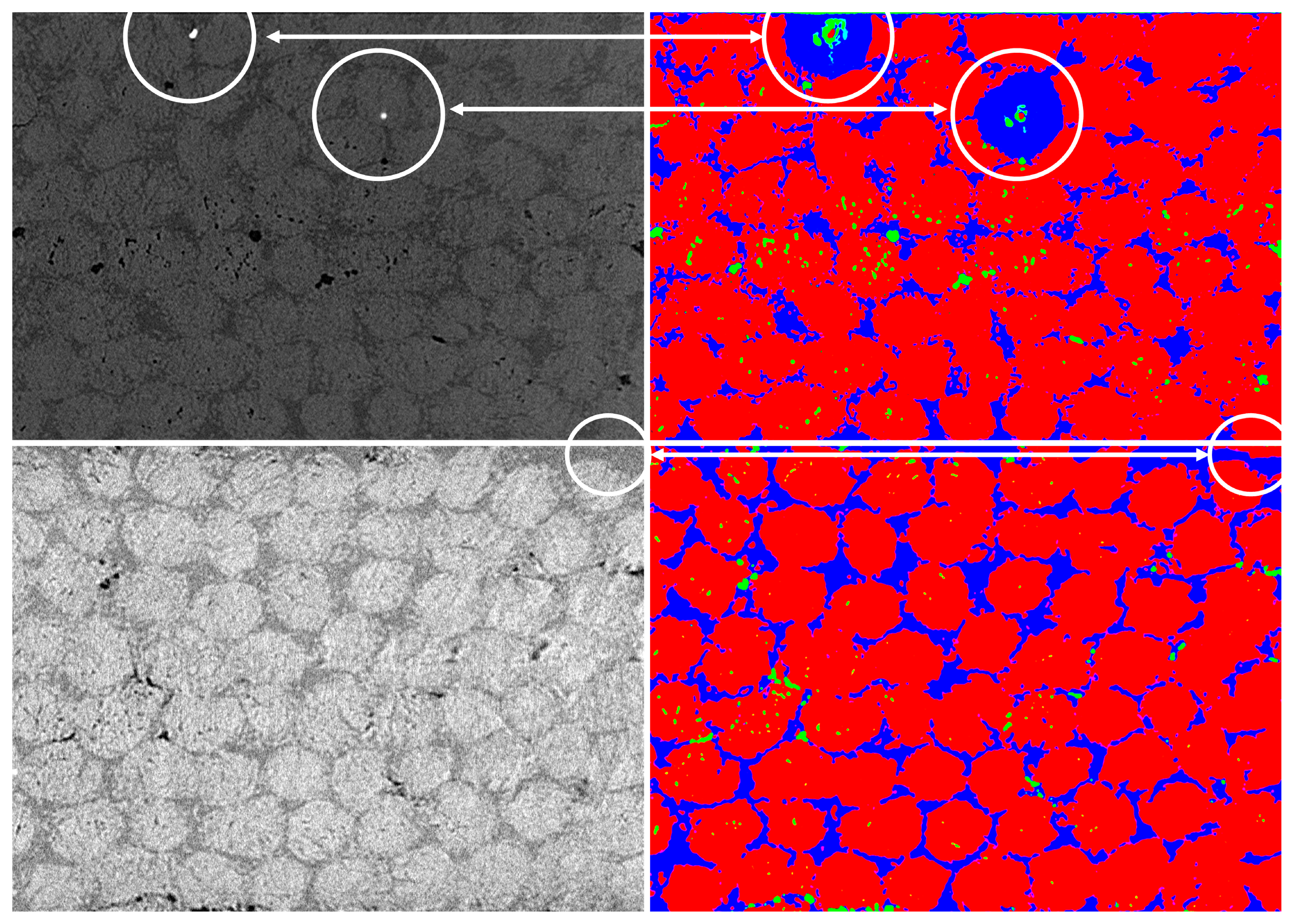 Preprints 147062 g0a2