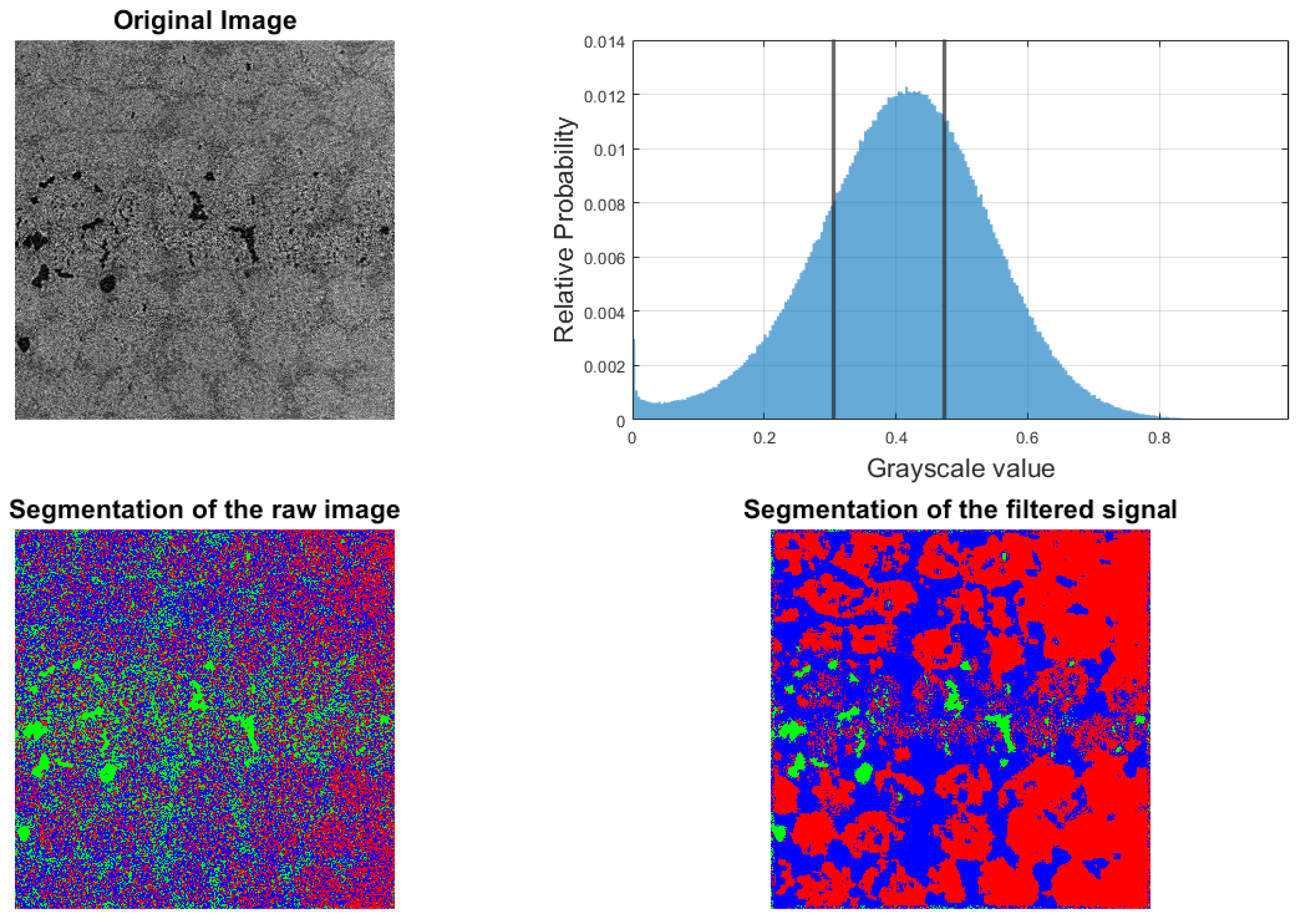 Preprints 147062 g0a5
