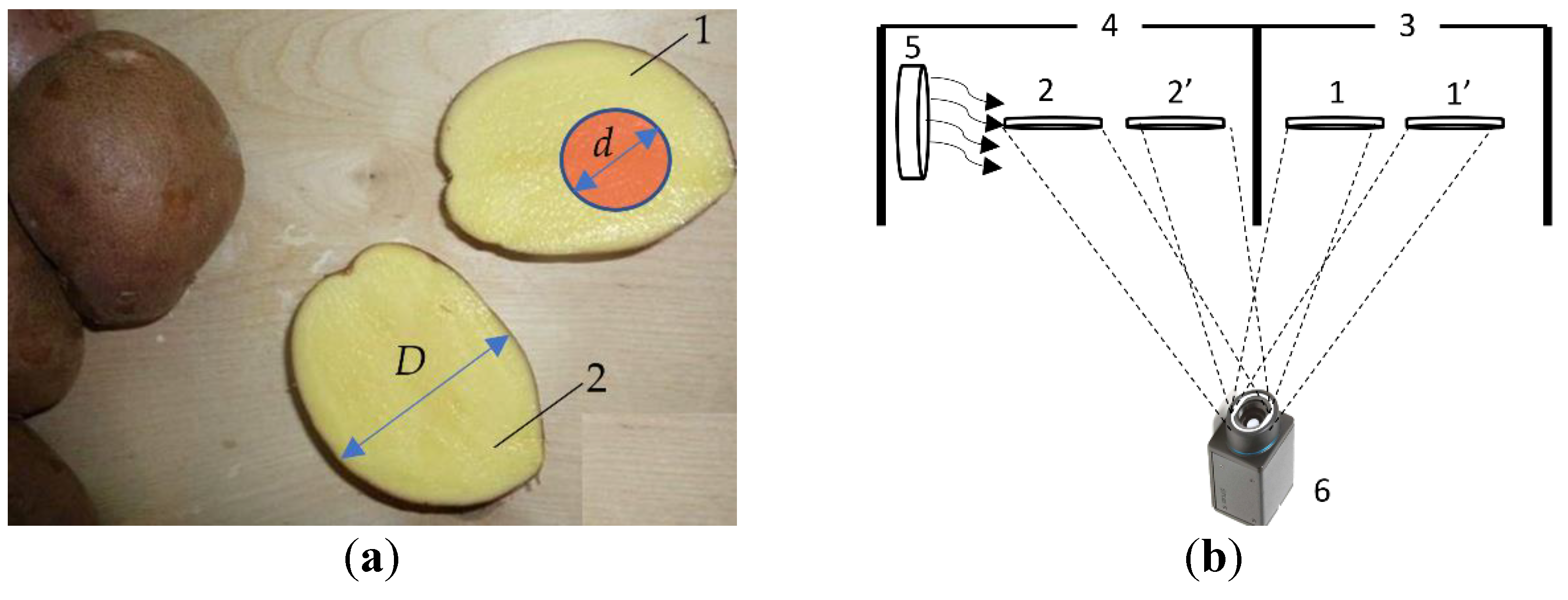 Preprints 155601 g001
