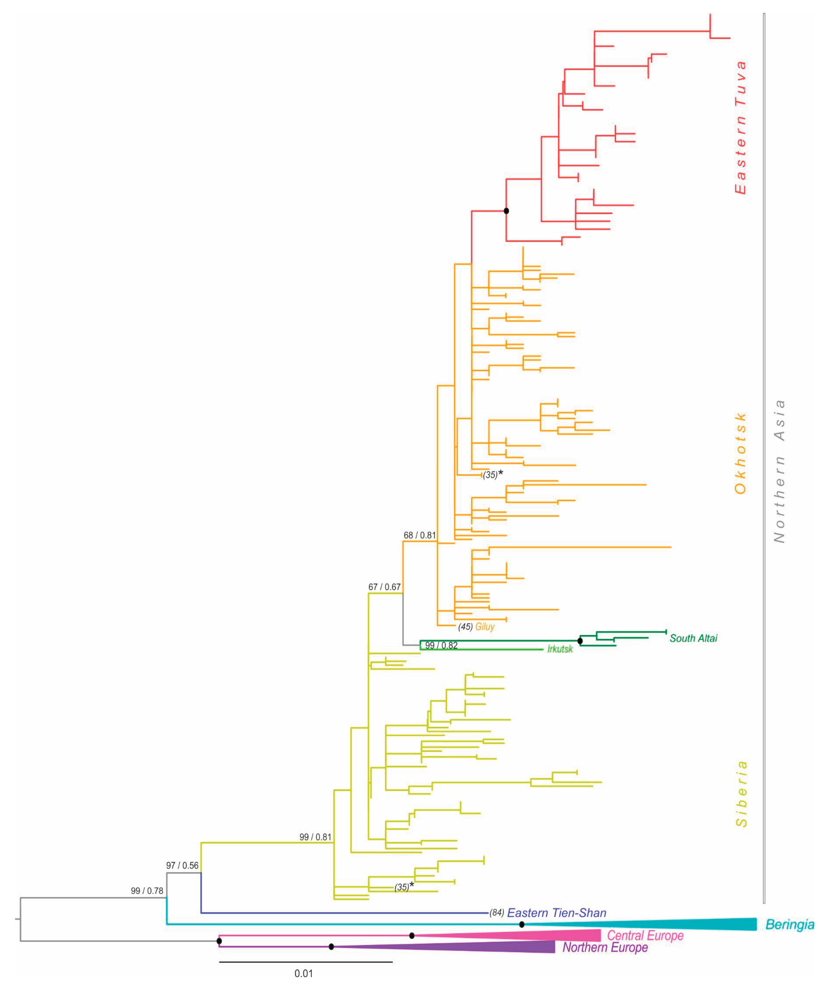 Preprints 165773 g001