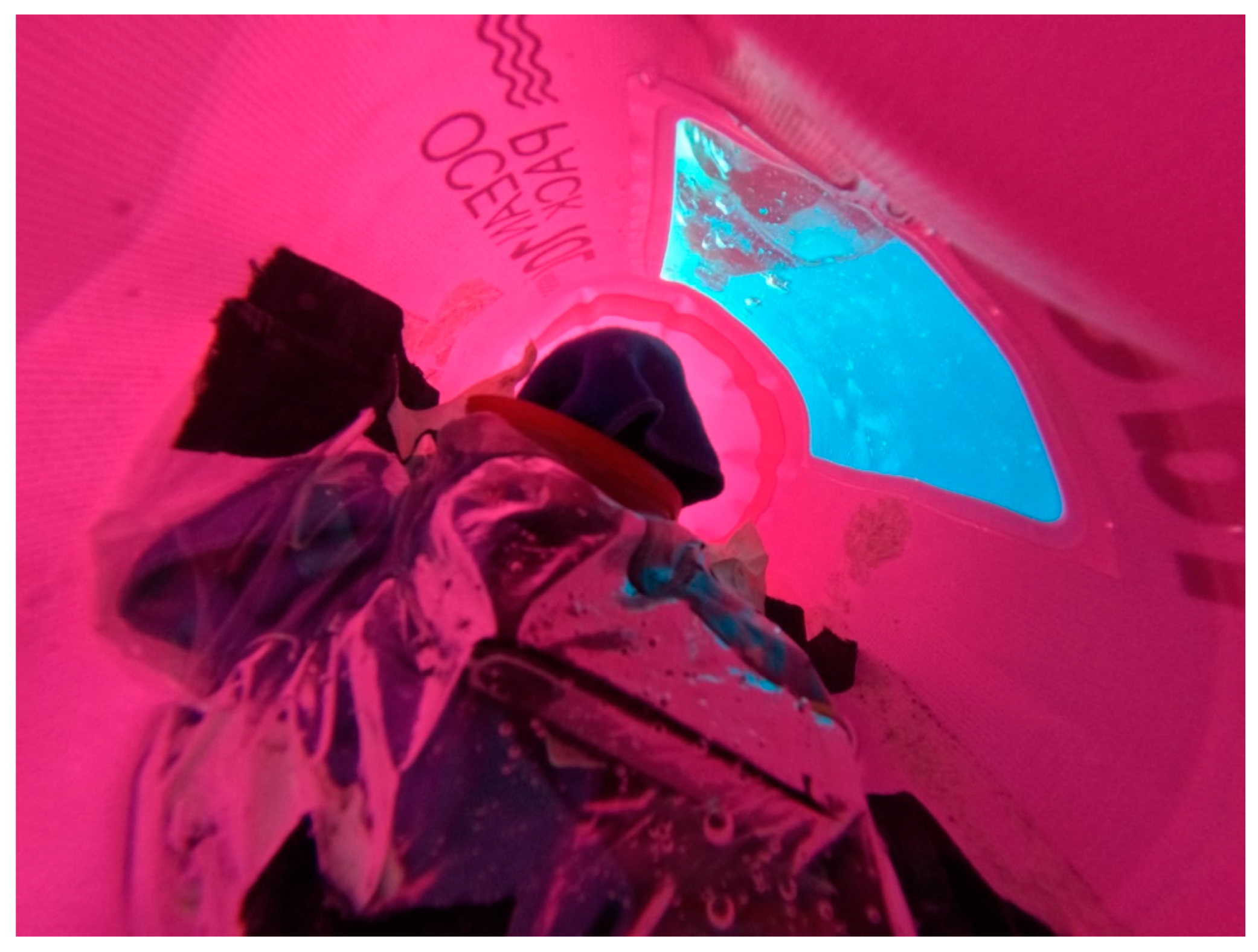 Preprints 77930 g004