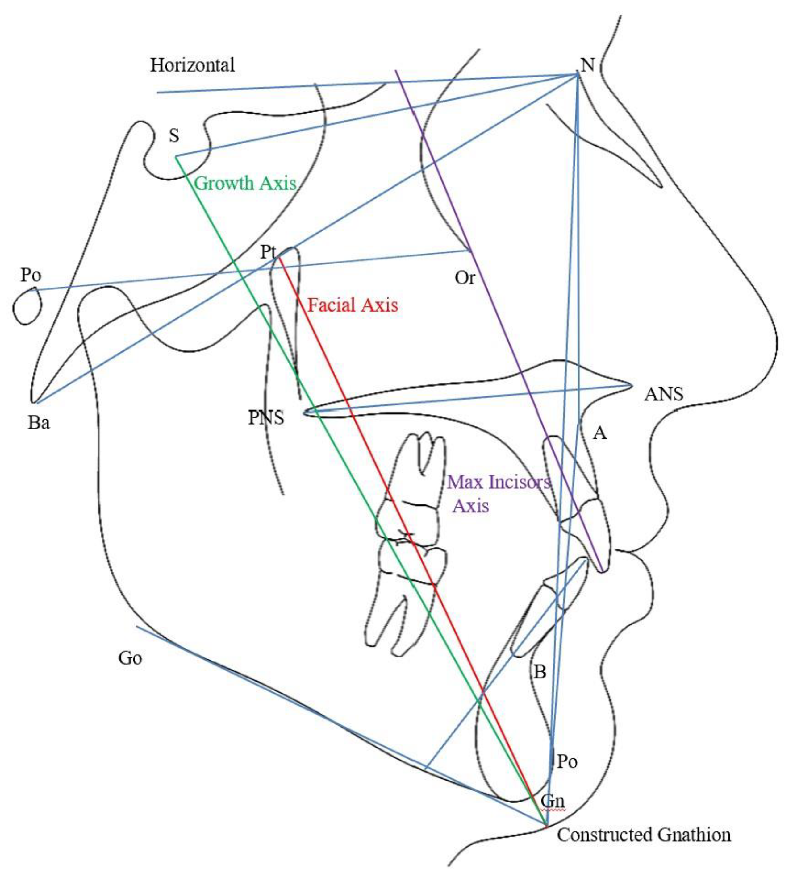 Preprints 180079 g001
