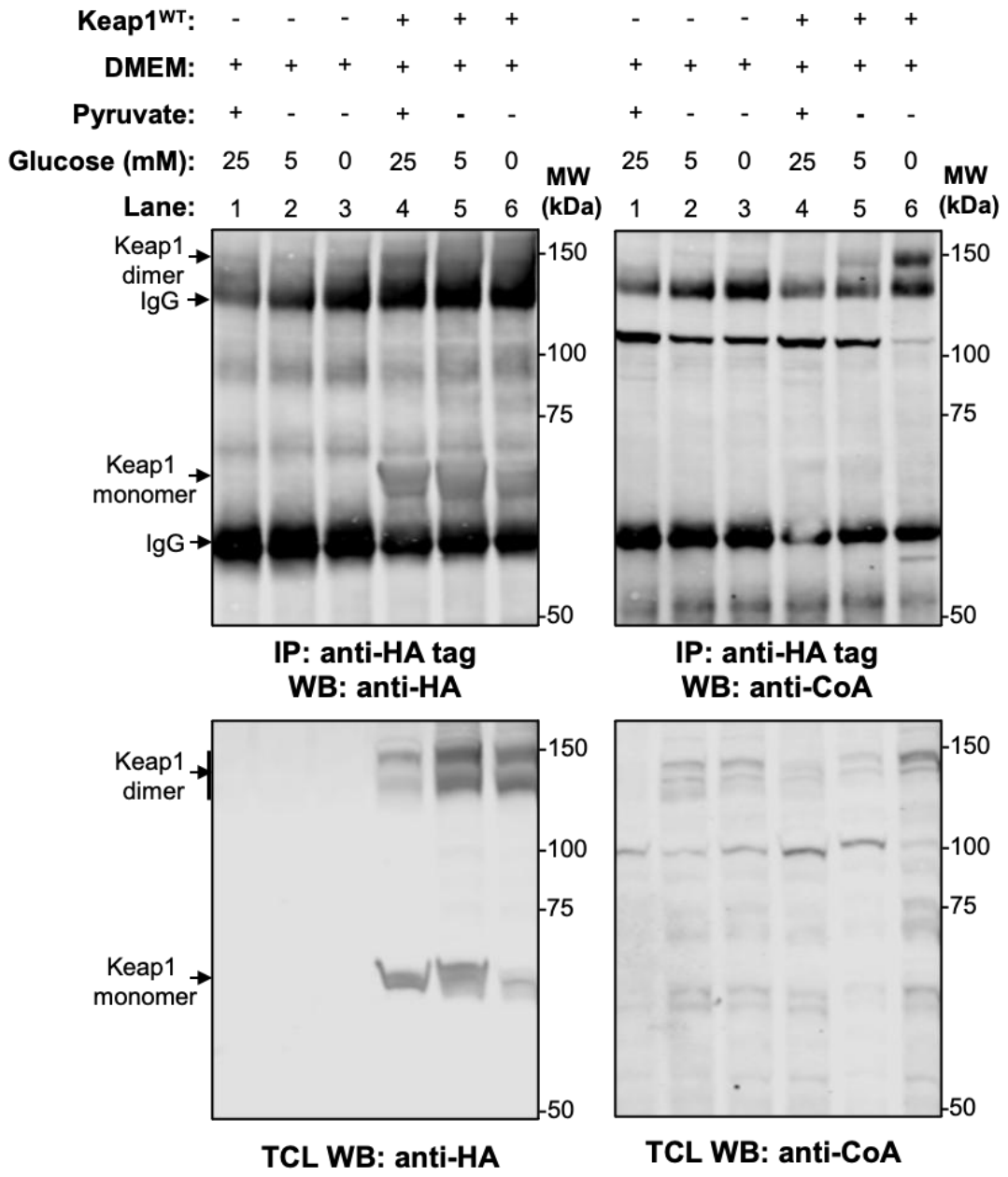 Preprints 210314 g003