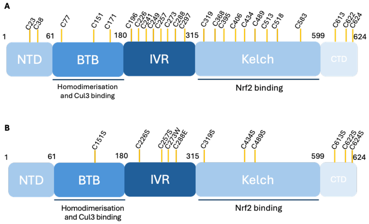 Preprints 210314 g005
