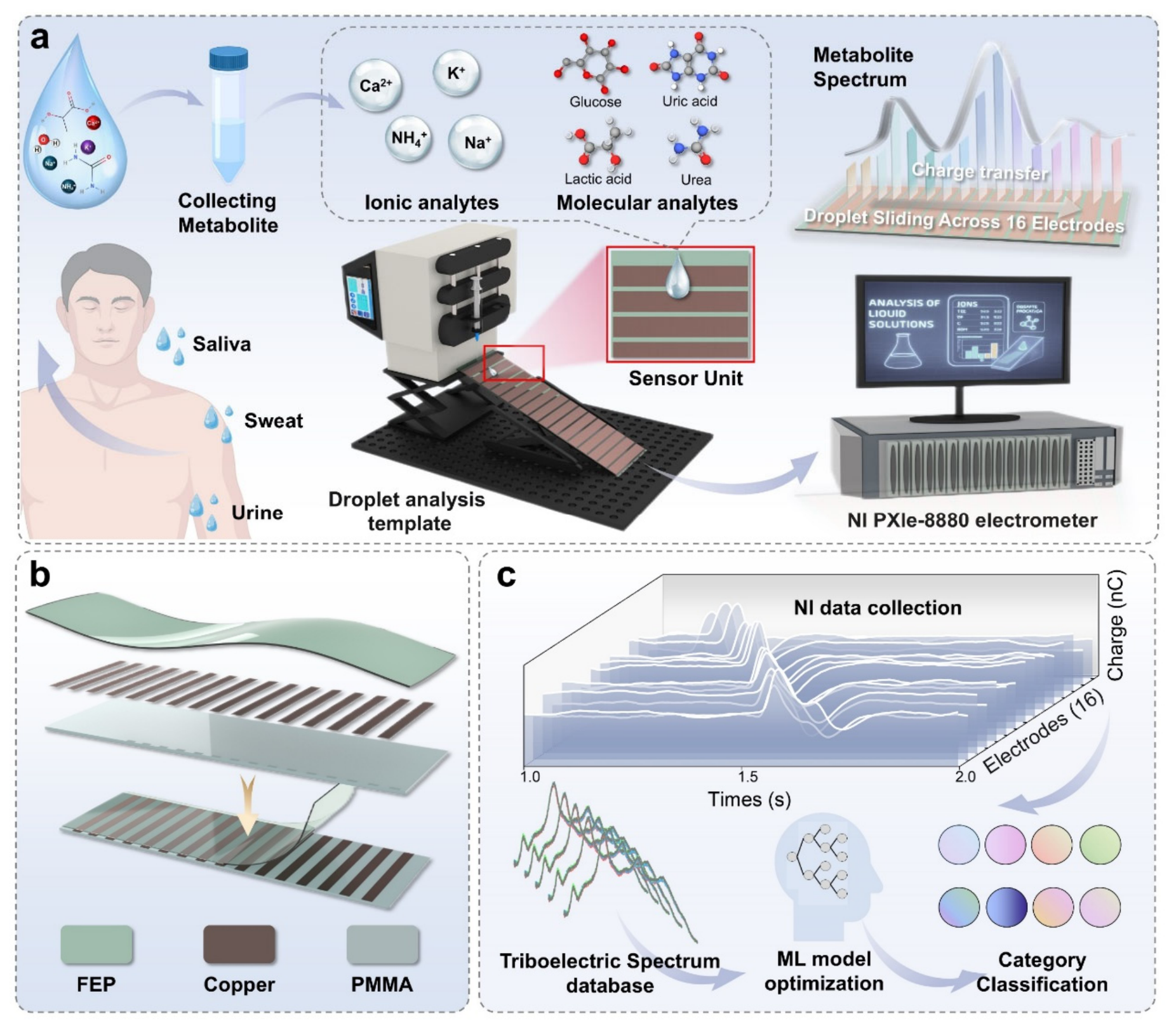 Preprints 226175 g001