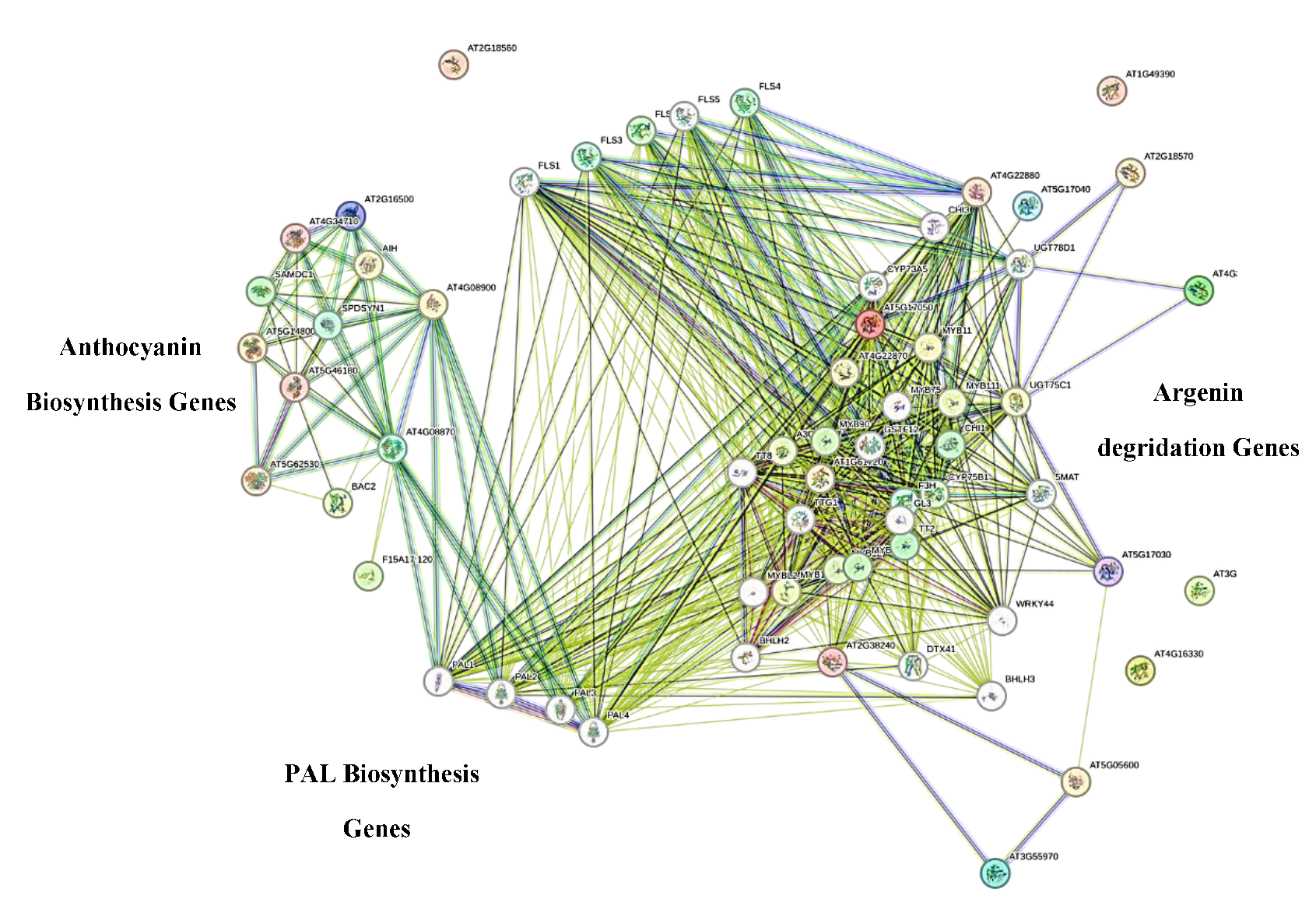 Preprints 196824 i001