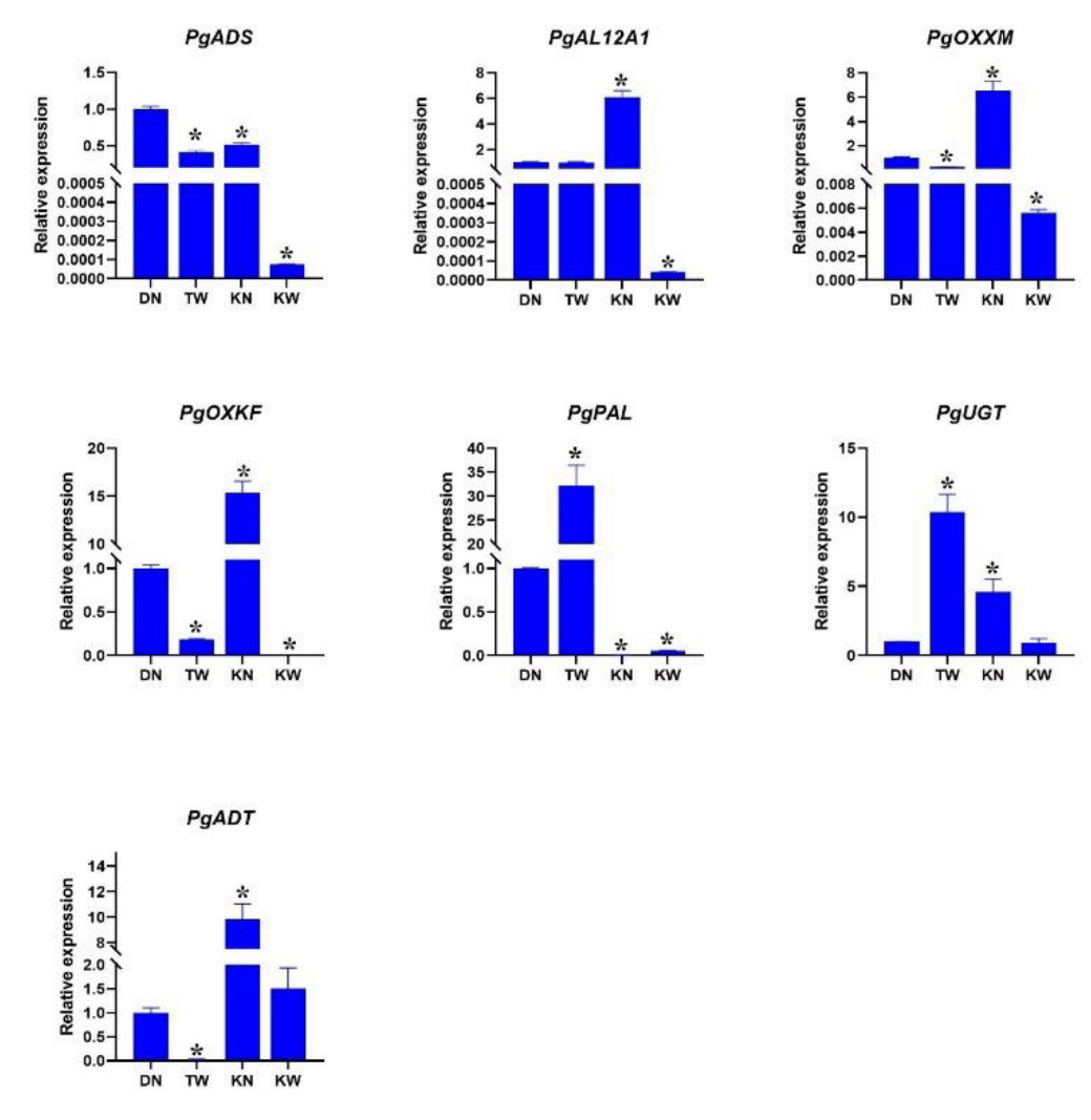 Preprints 196824 i002