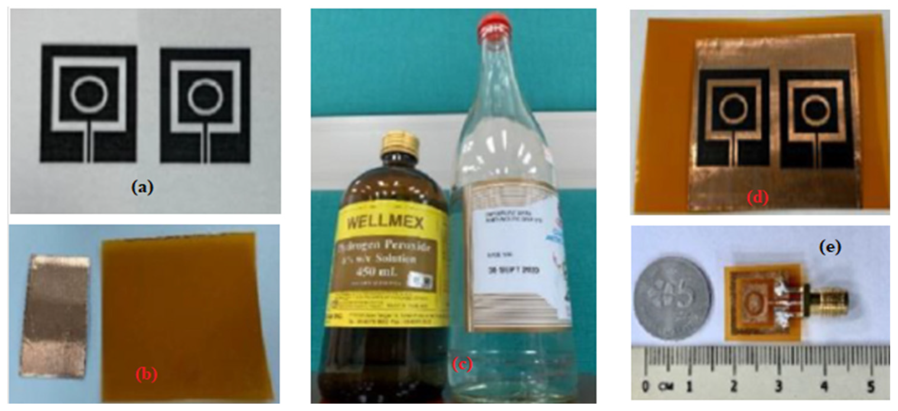 Preprints 72751 g009