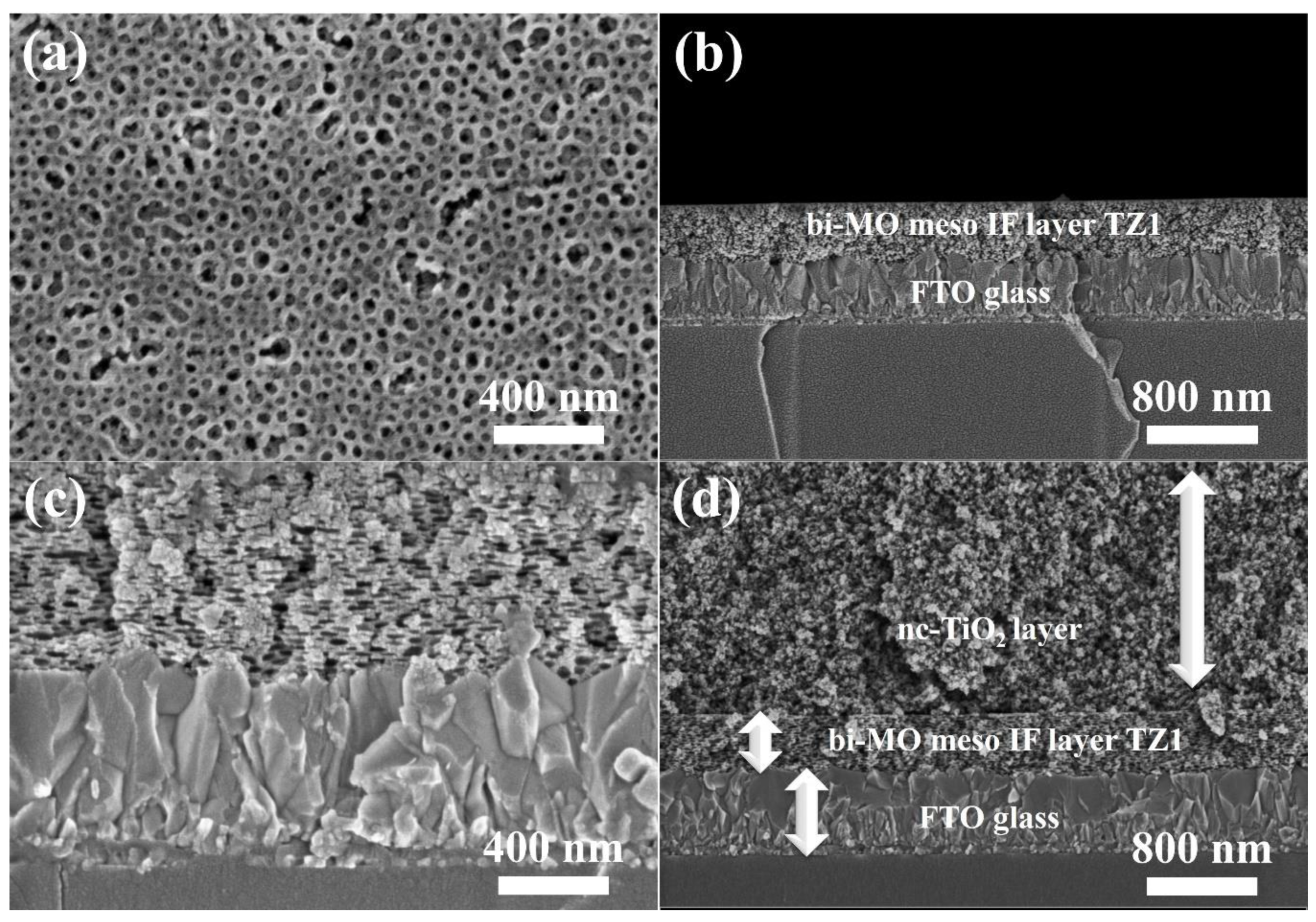 Preprints 97830 g002