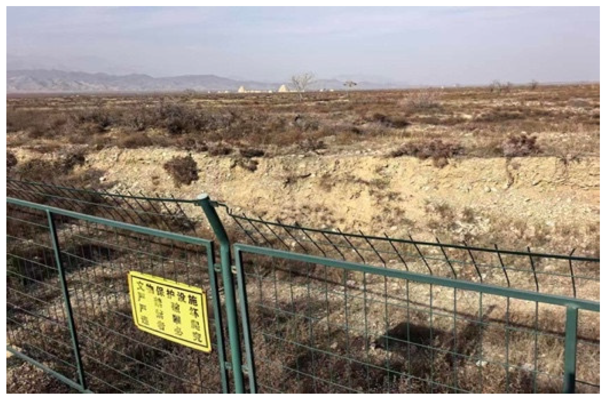 Preprints 199472 g005