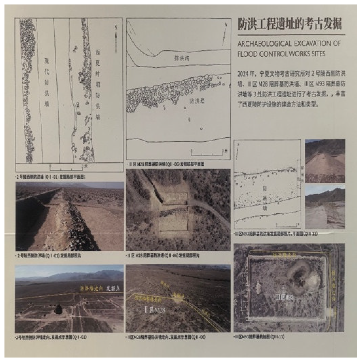 Preprints 199472 g006