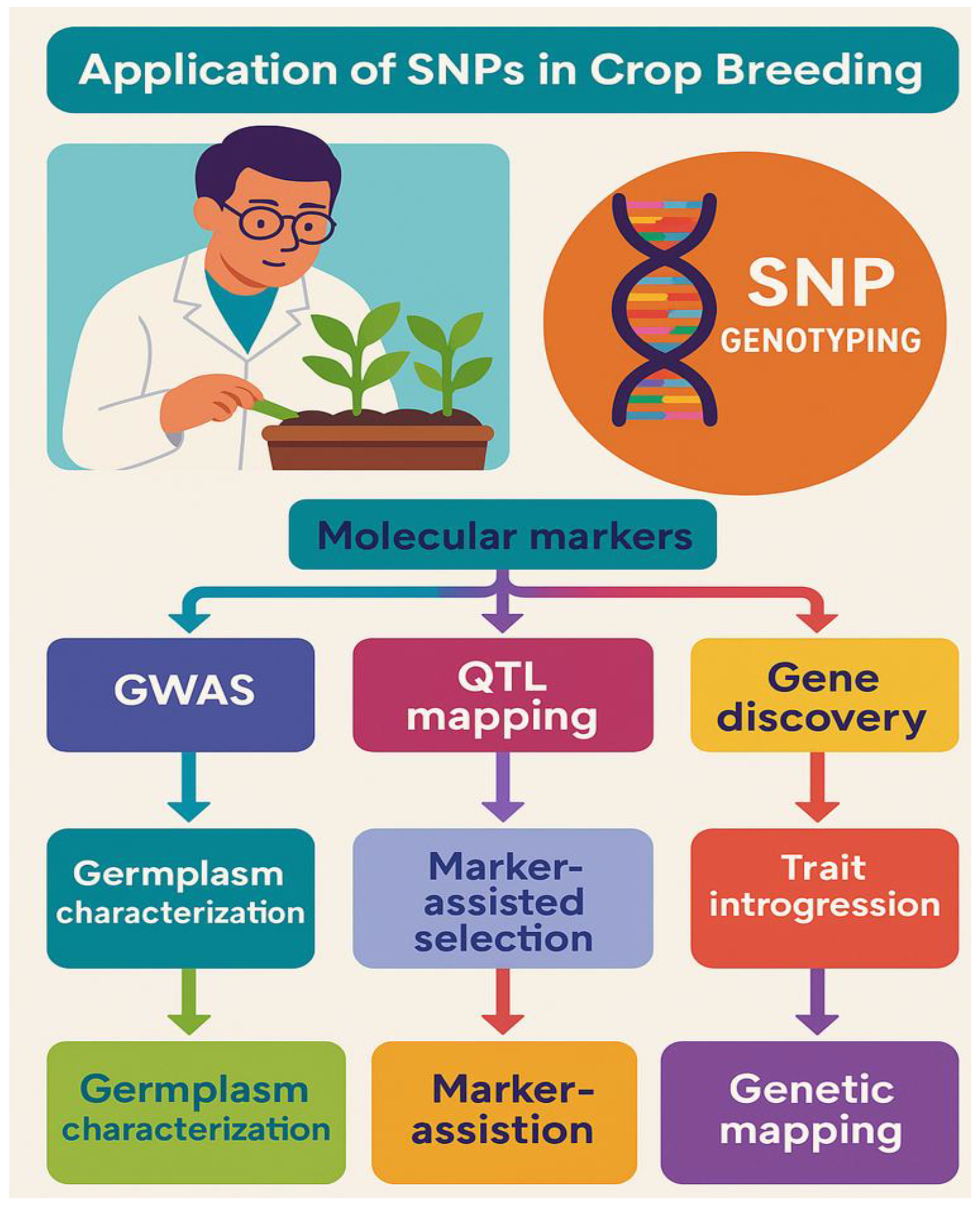 Preprints 156607 g002
