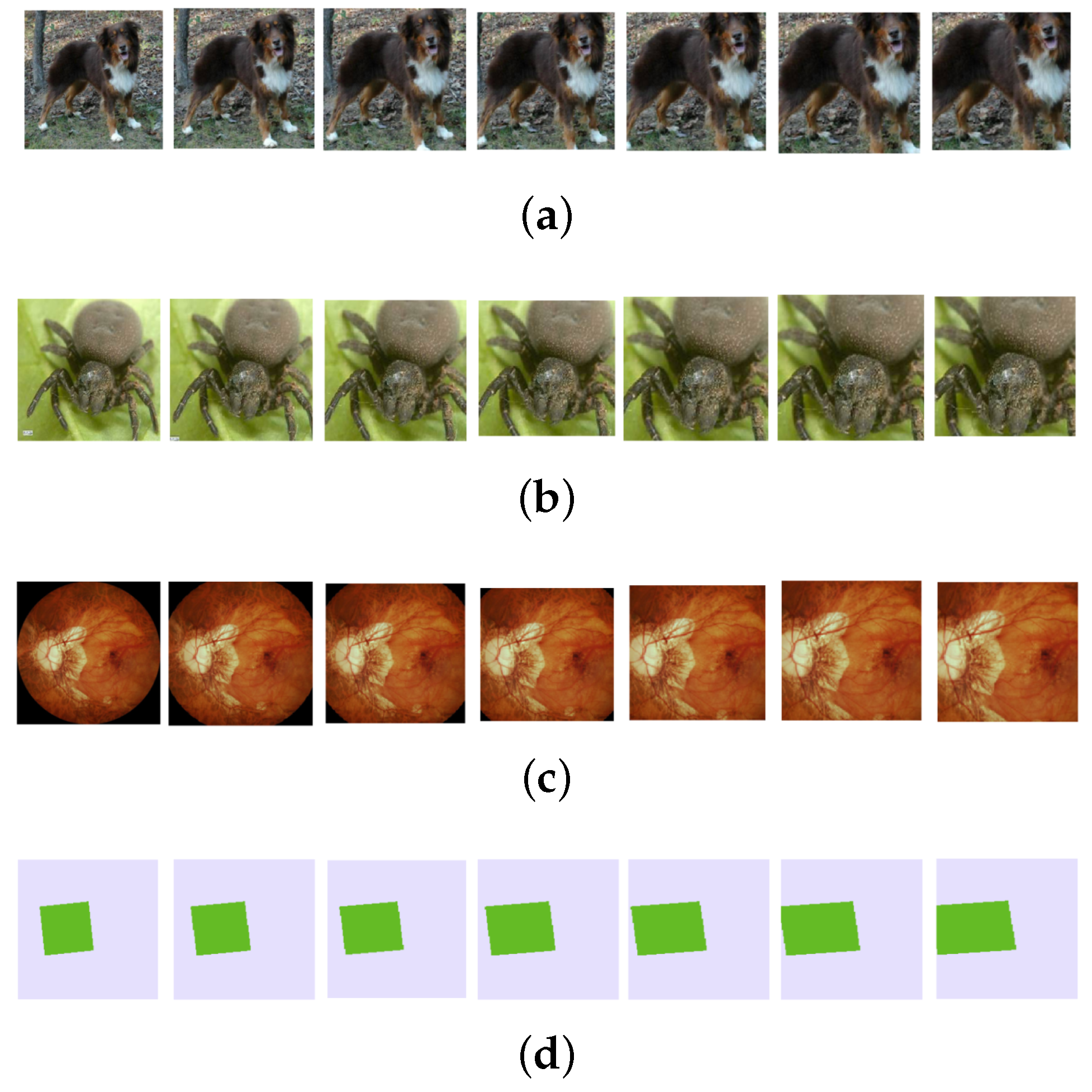 Preprints 107872 g006