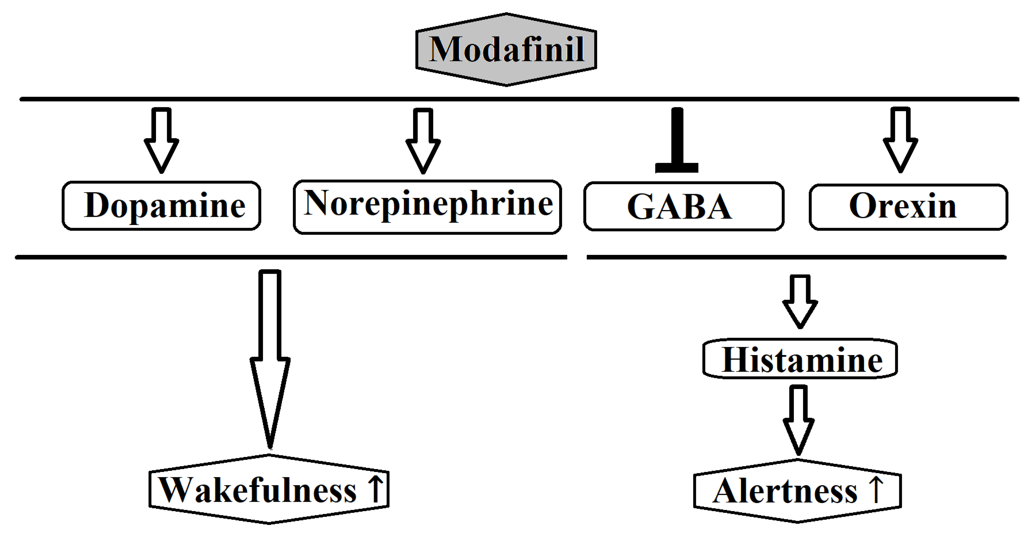 Preprints 162872 g002