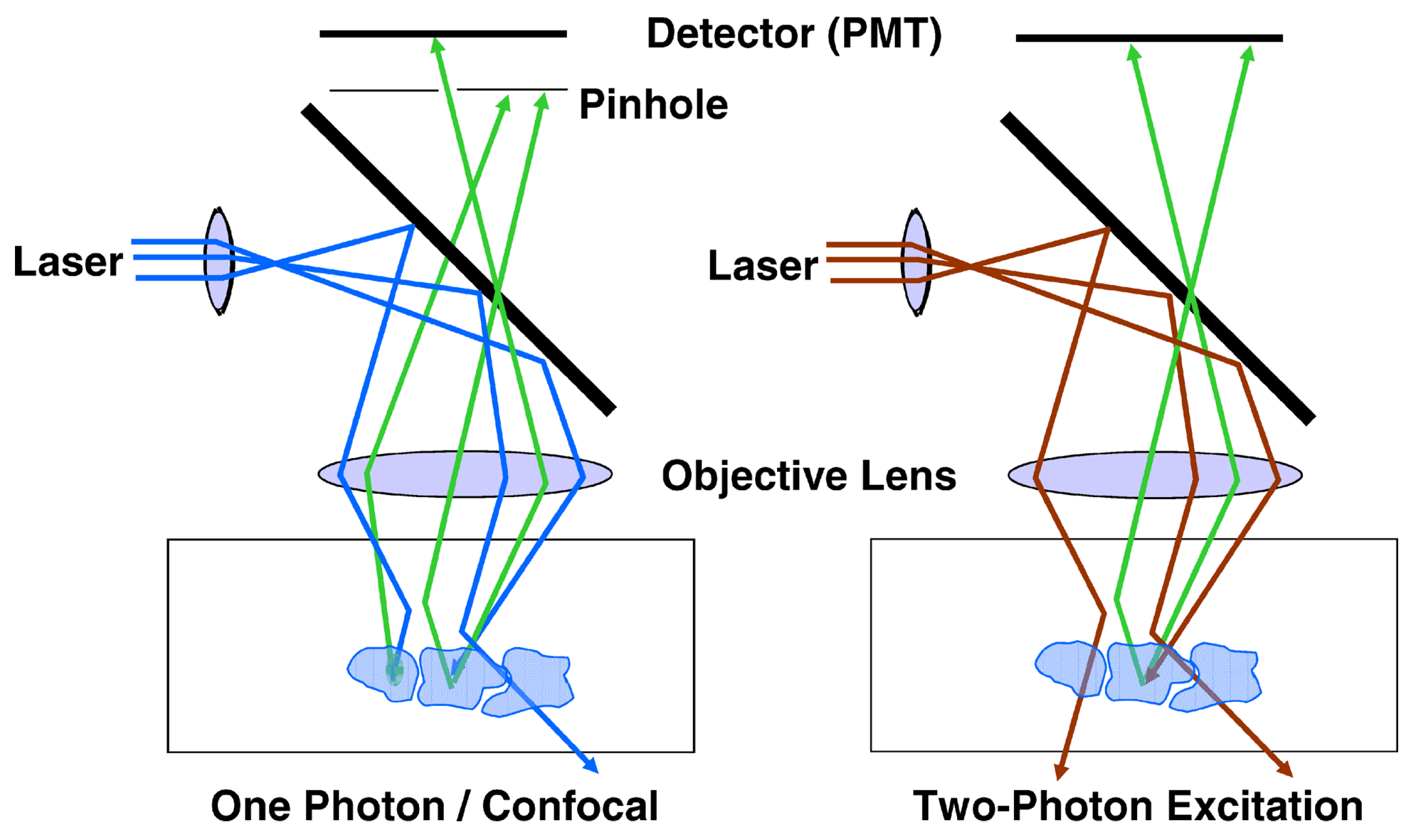 Preprints 193850 g003