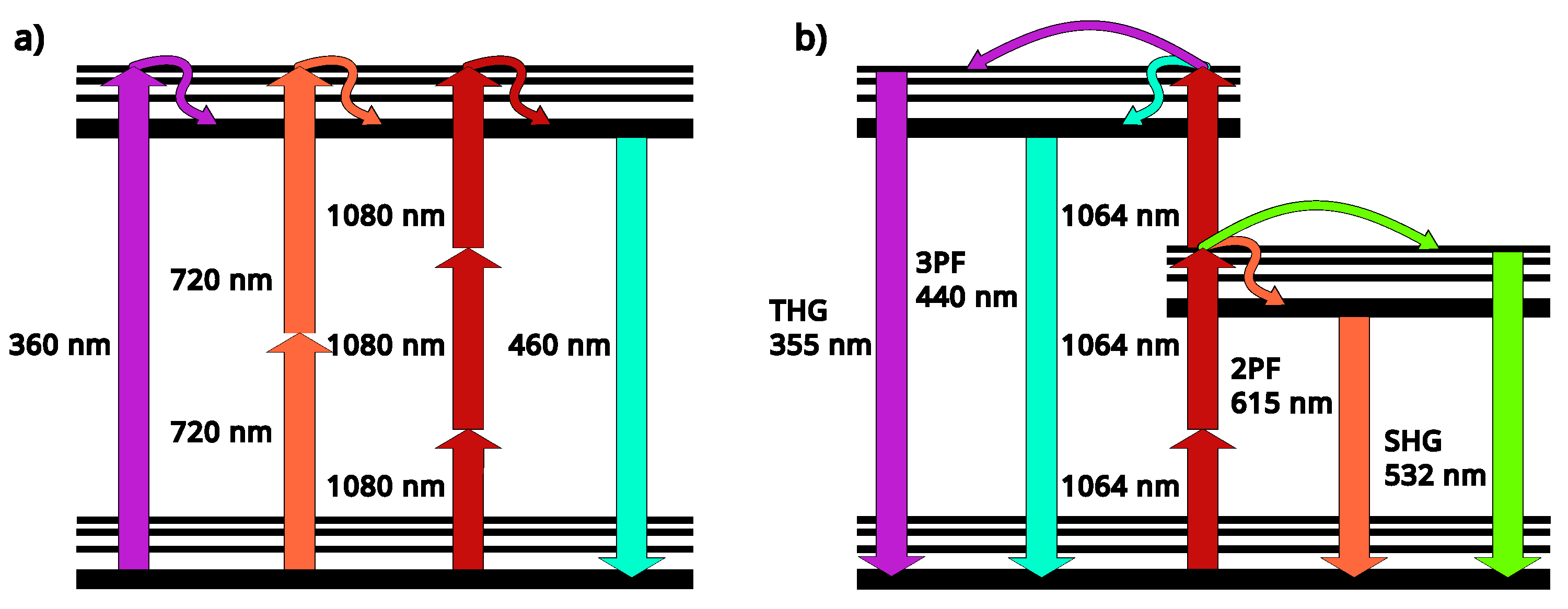Preprints 193850 g004