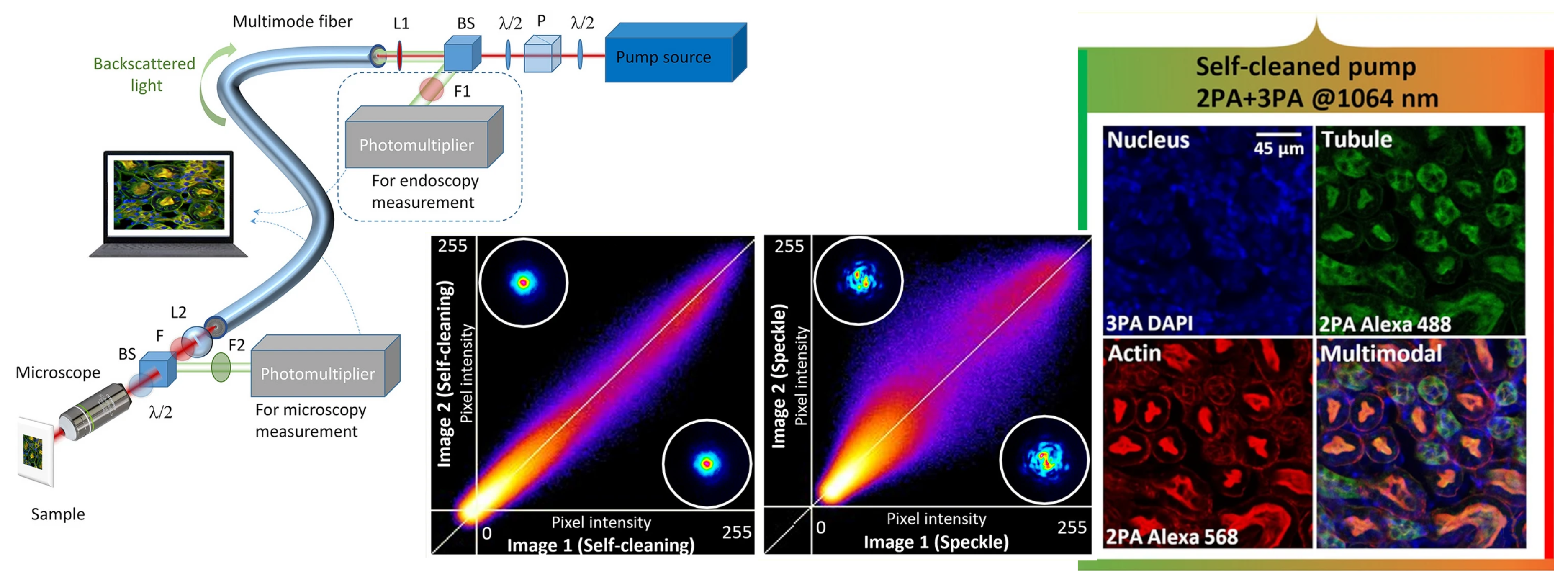 Preprints 193850 g006